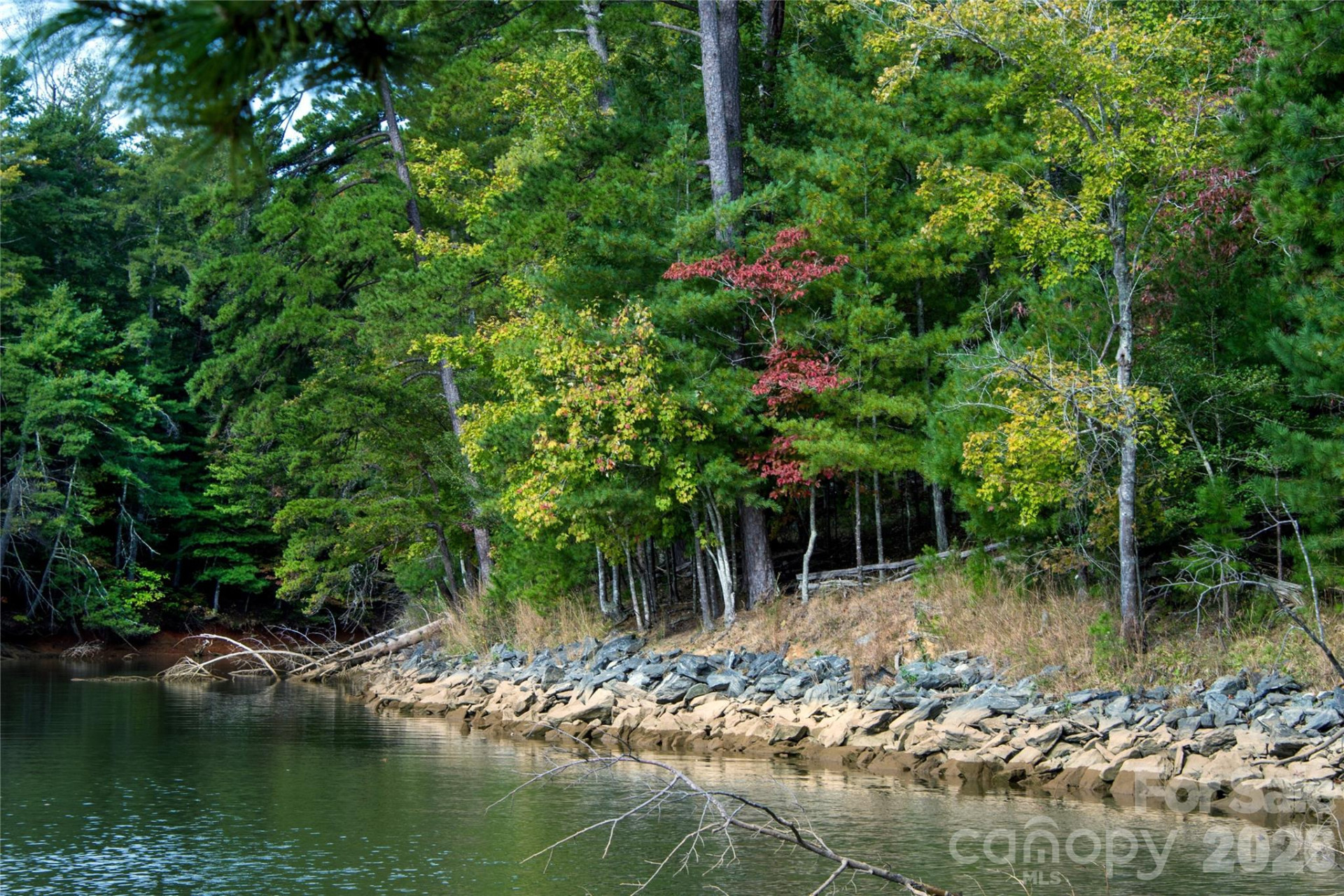 179 Turtle Head Drive #14 - Photo 19