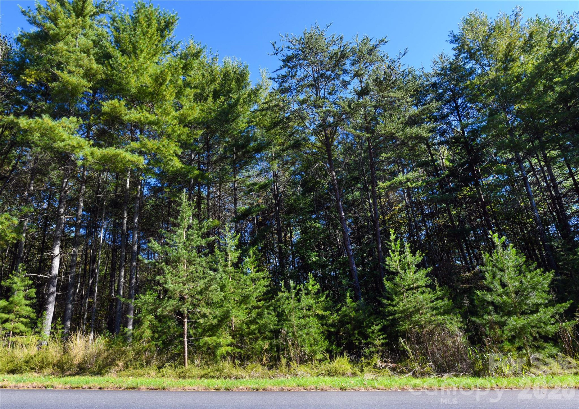 179 Turtle Head Drive #14 - Photo 21