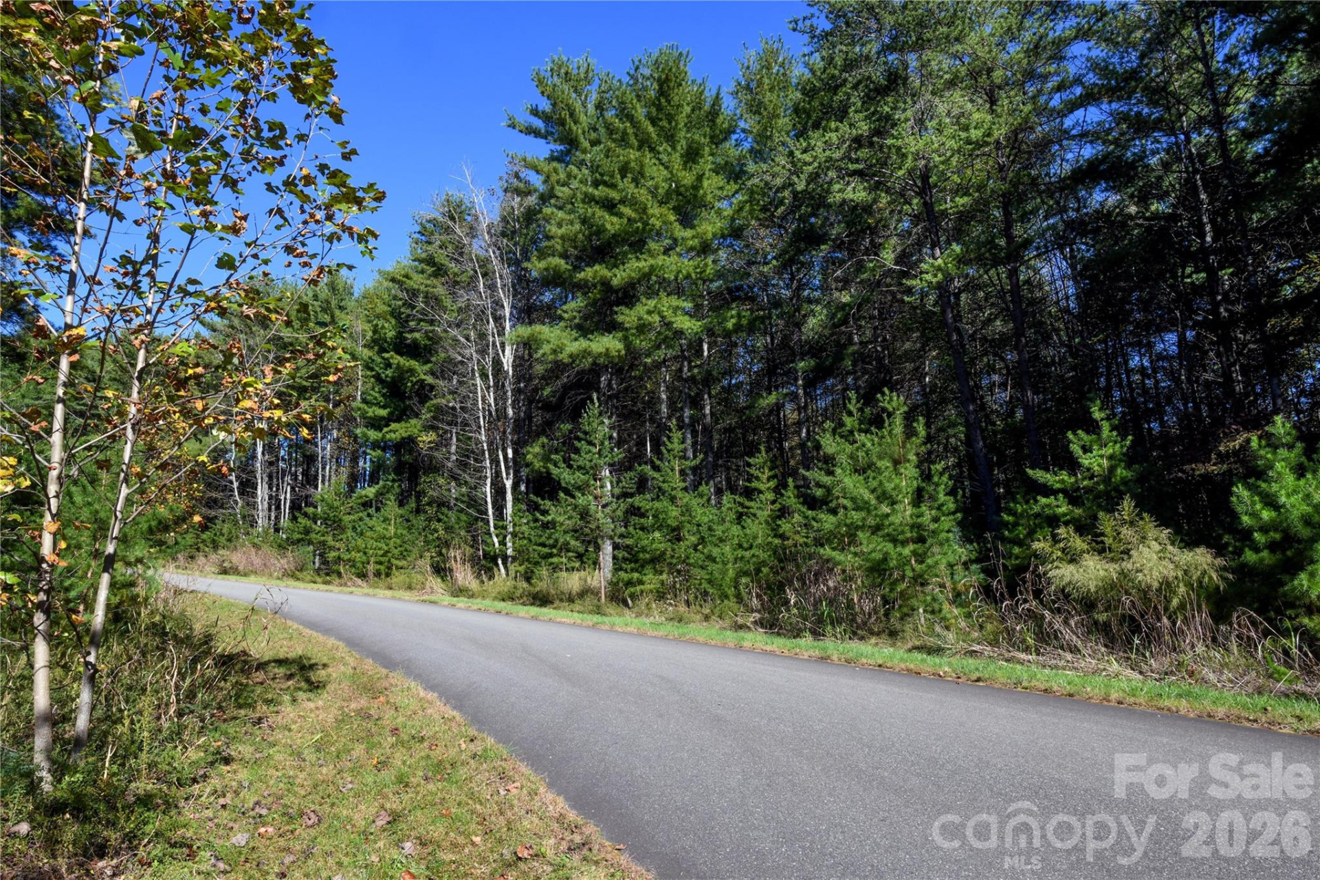 179 Turtle Head Drive #14 - Photo 22