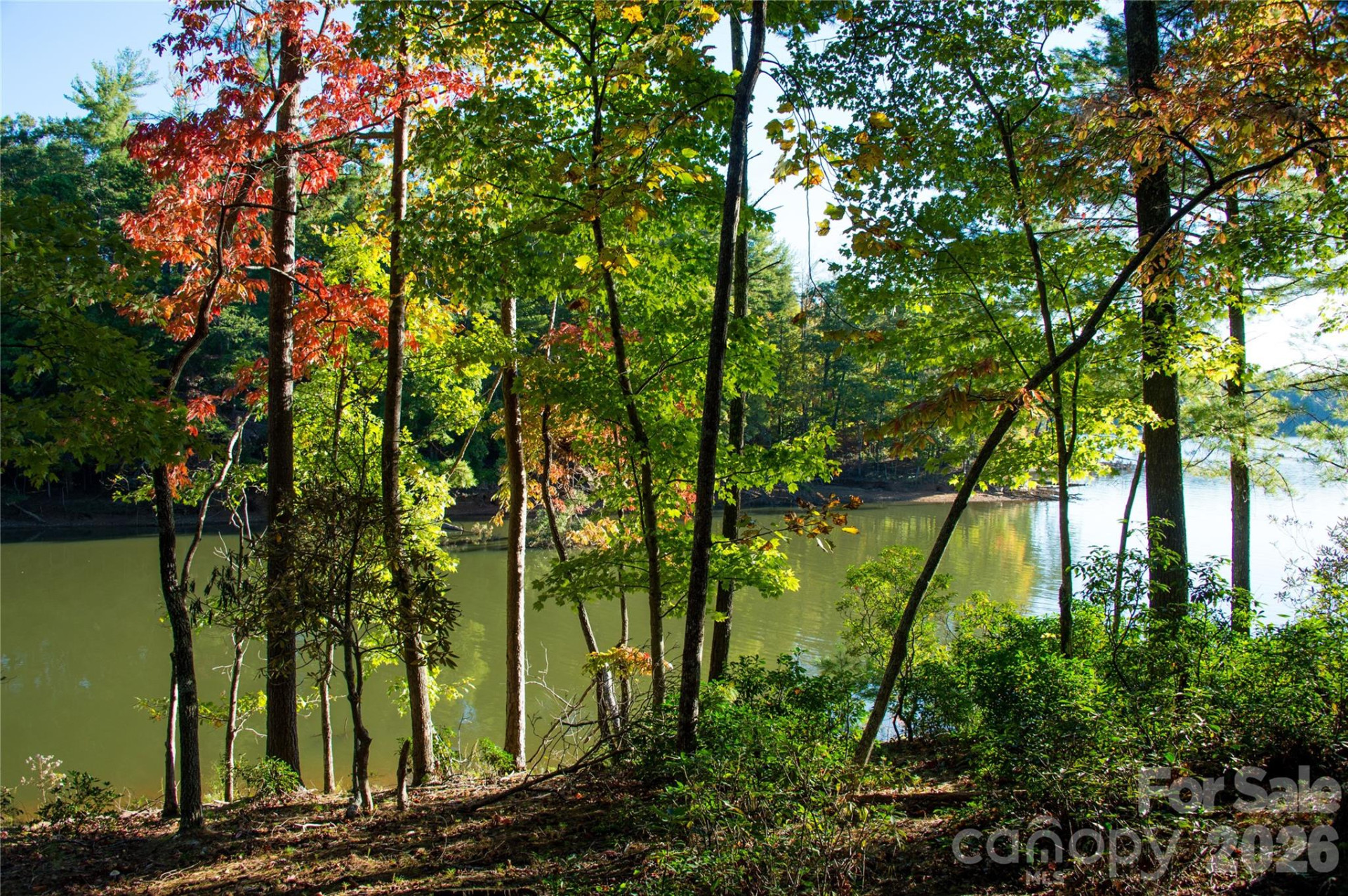 179 Turtle Head Drive #14 - Photo 23