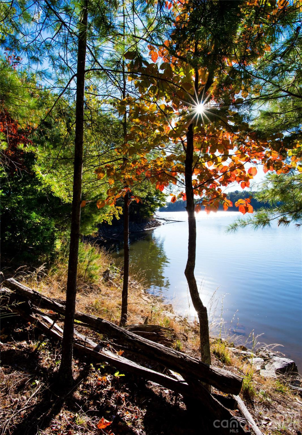 179 Turtle Head Drive #14 - Photo 24