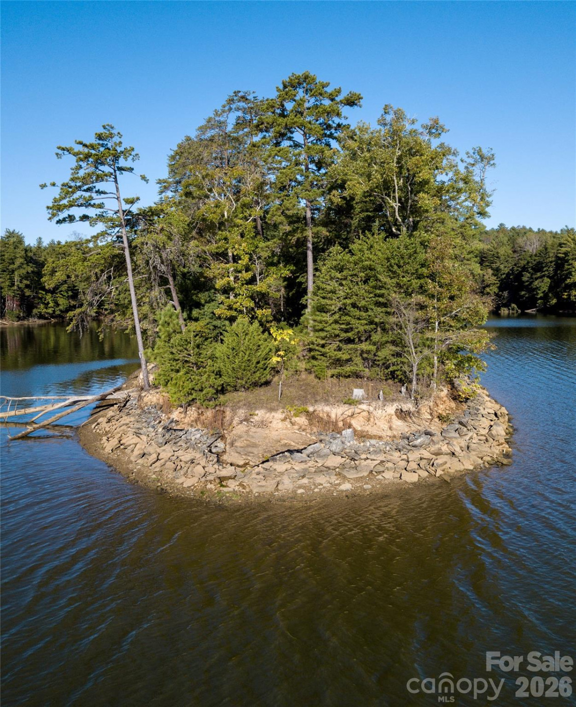 179 Turtle Head Drive #14 - Photo 6