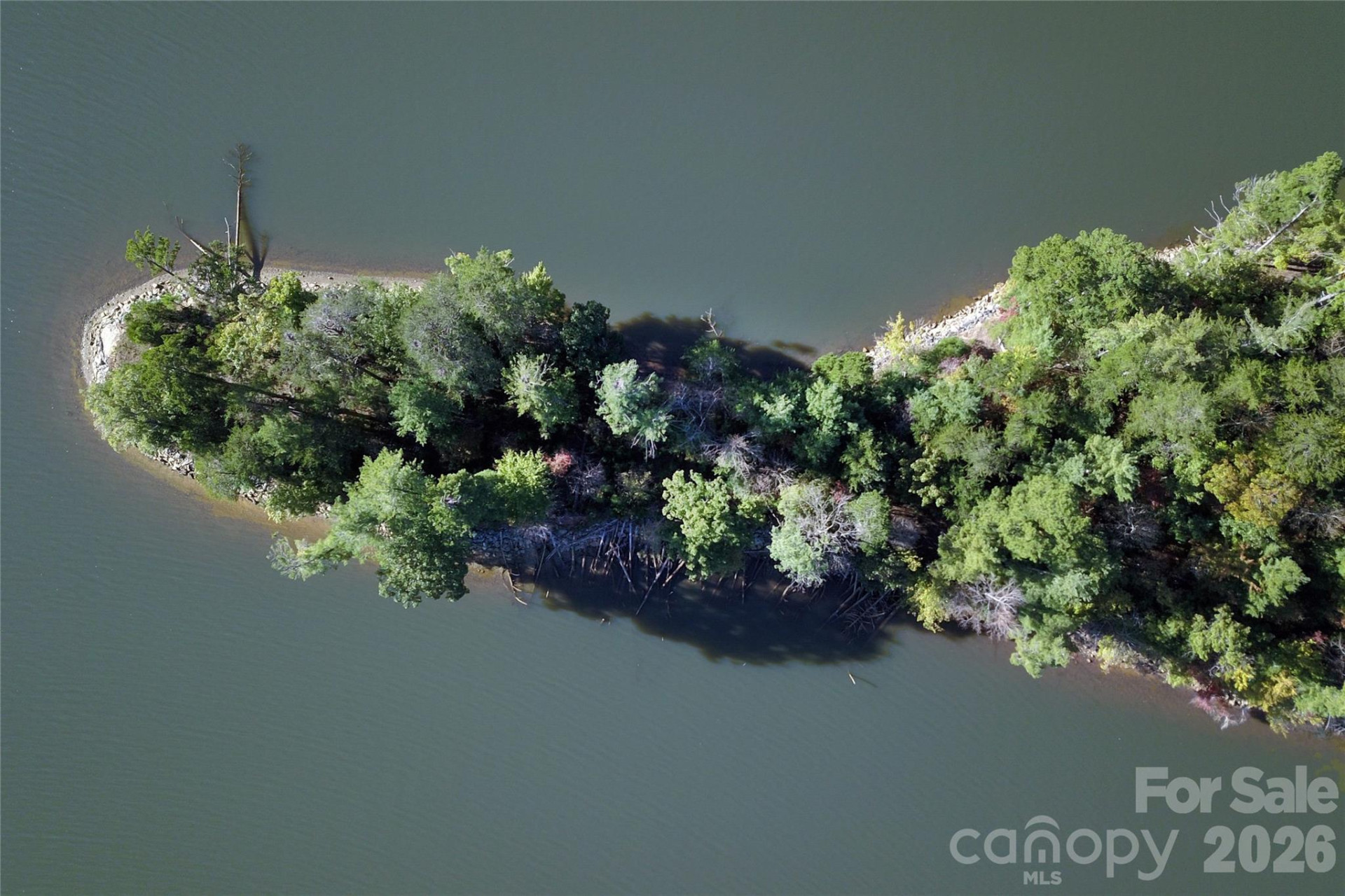 179 Turtle Head Drive #14 - Photo 8