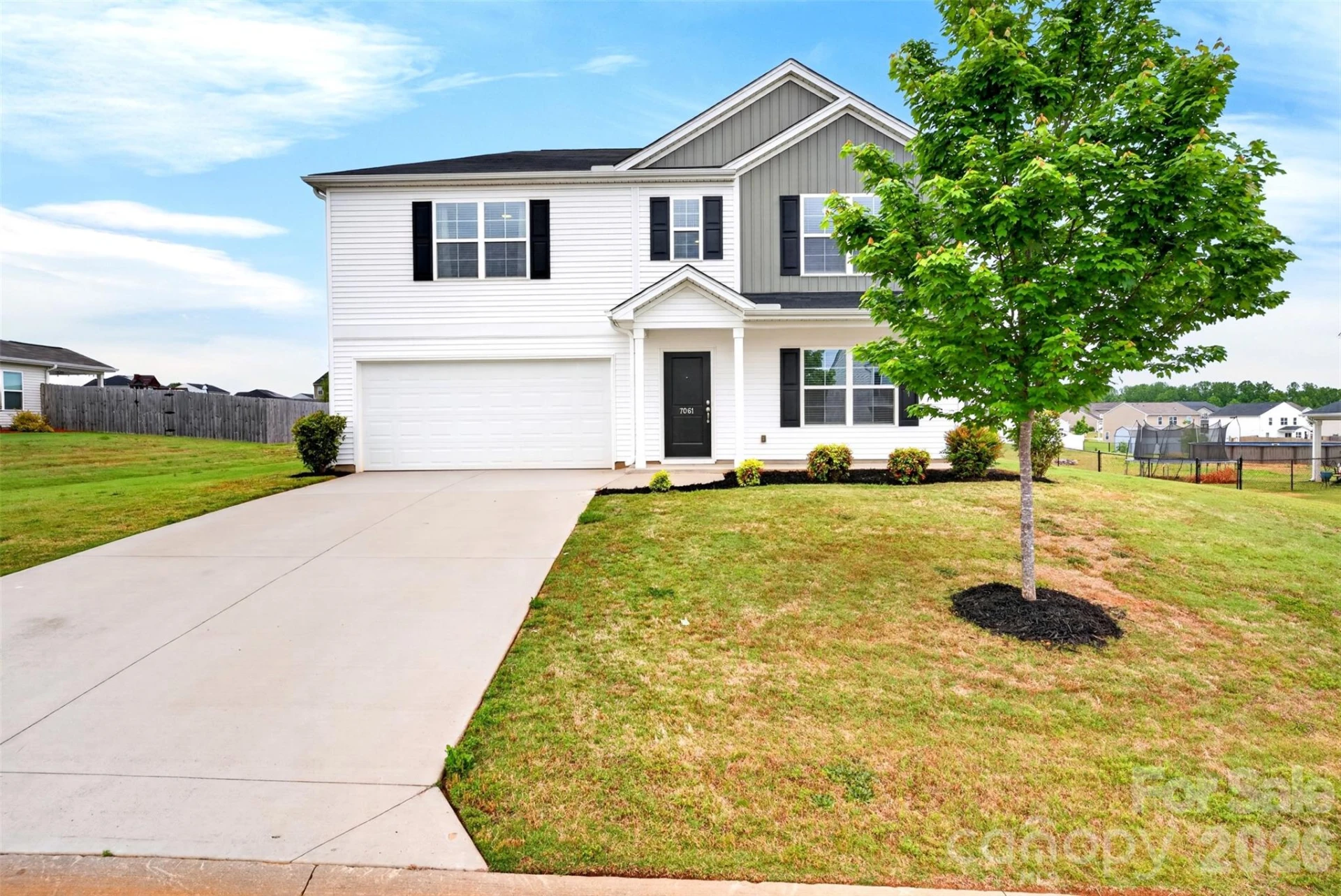 7061 Luna Mae Court - Photo 2