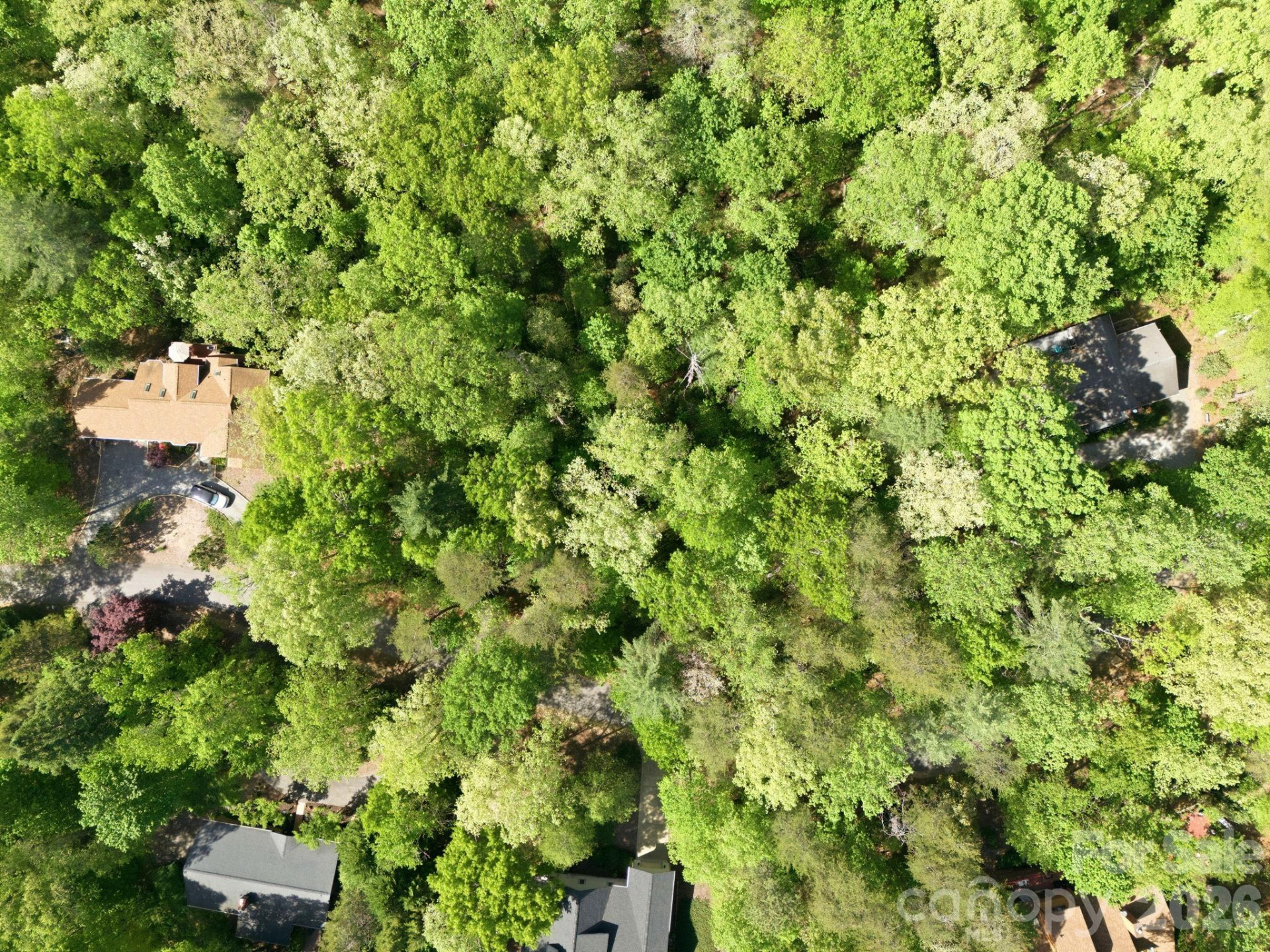 Lot 50 Huntington Road #50 - Photo 2