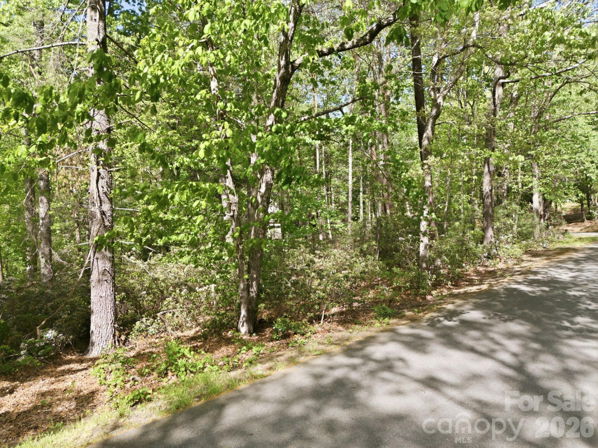 Lot 50 Huntington Road #50 - Photo 11