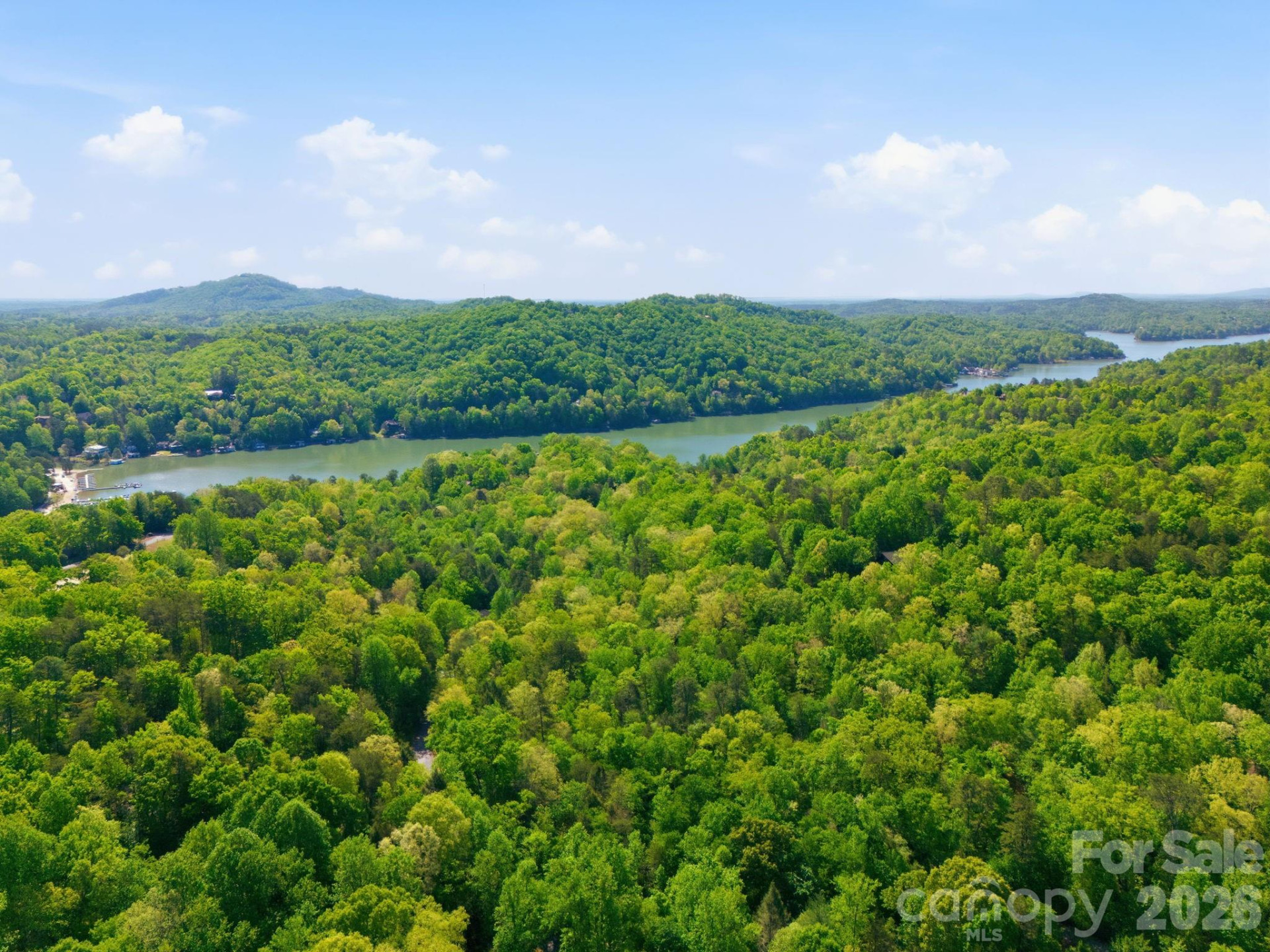 Lot 50 Huntington Road #50 - Photo 4