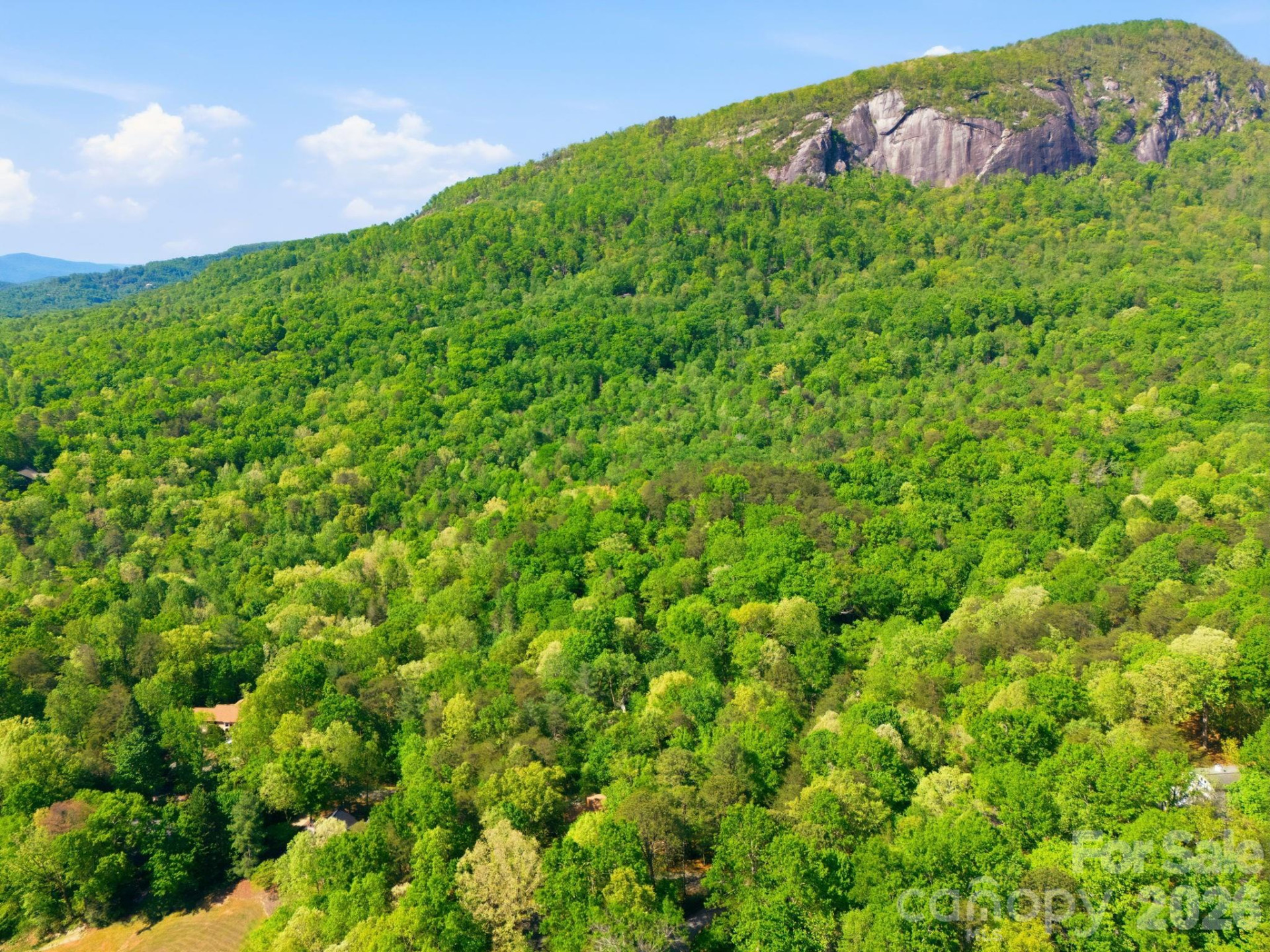 Lot 50 Huntington Road #50 - Photo 7