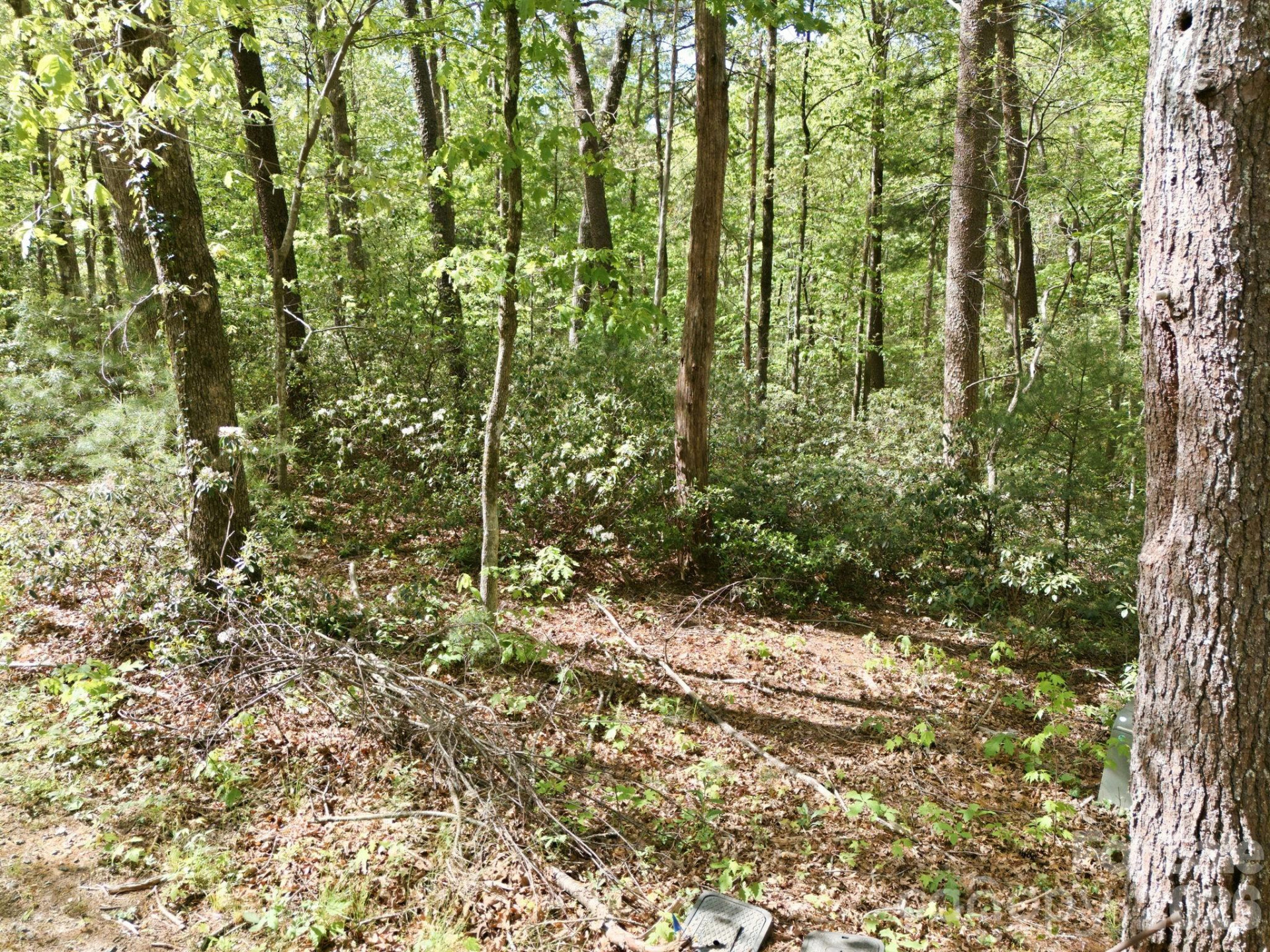 Lot 50 Huntington Road #50 - Photo 9