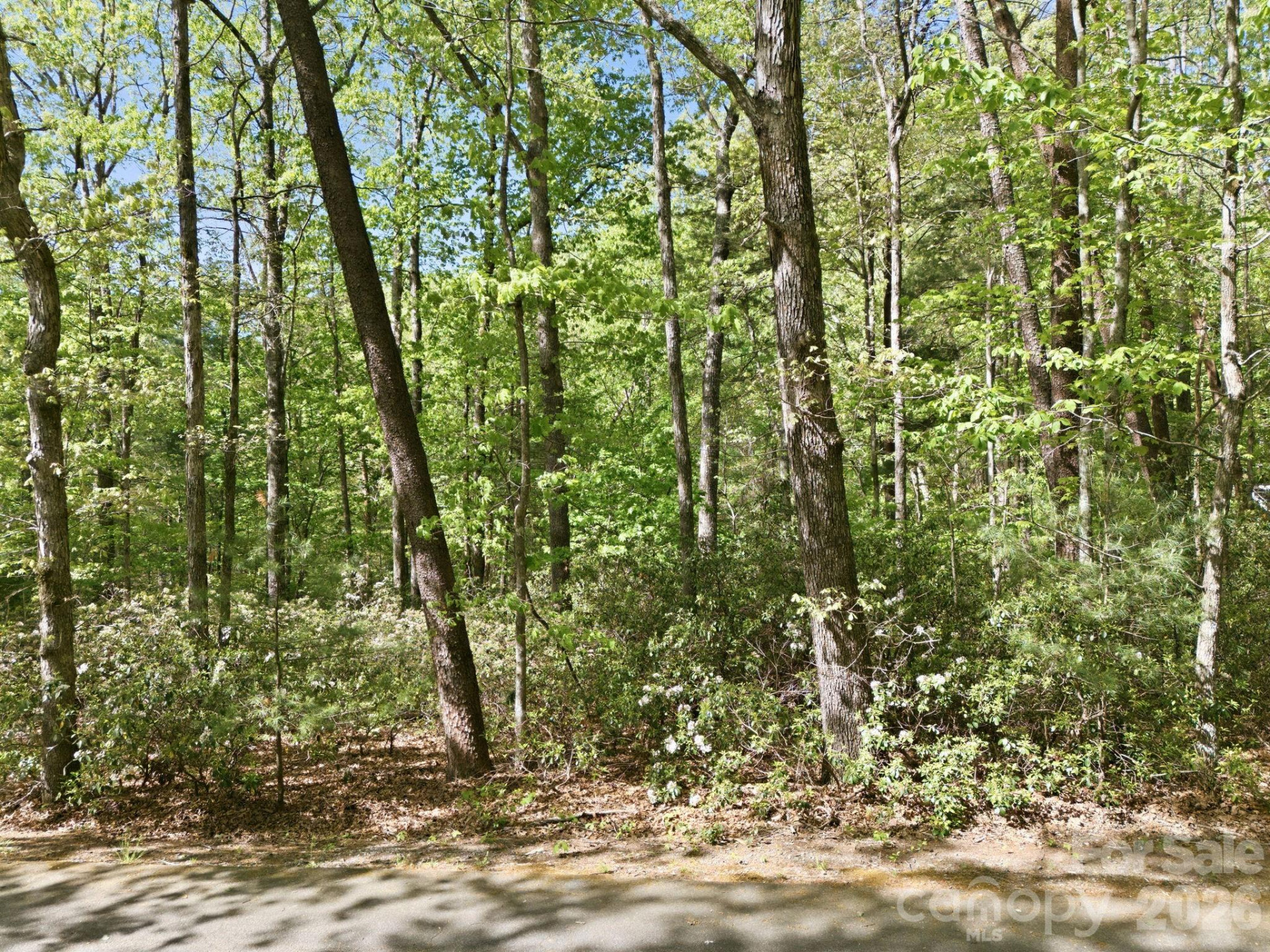 Lot 50 Huntington Road #50 - Photo 10