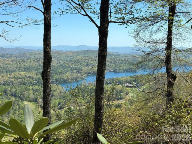 P 2 L020RV Toxaway Cliff