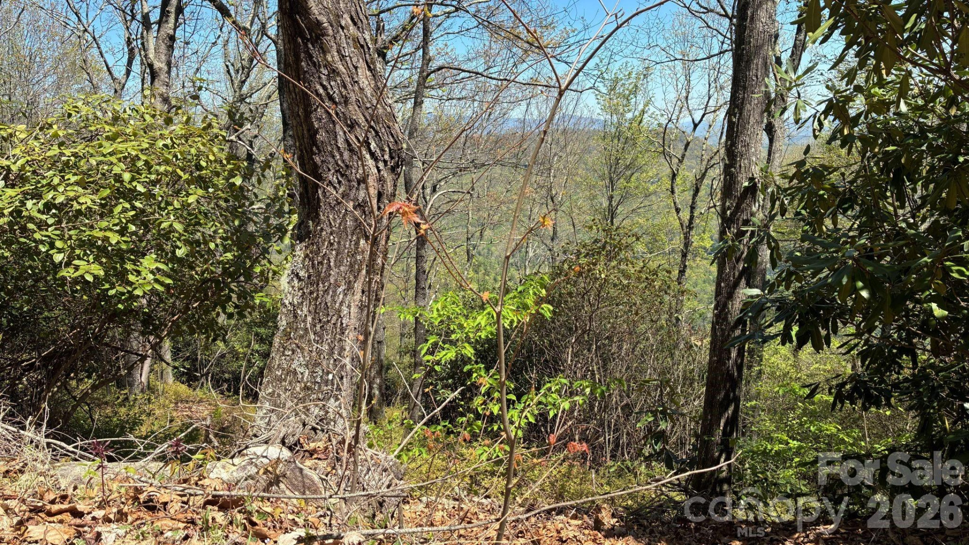 P 2 L020RV Toxaway Cliff - Photo 11