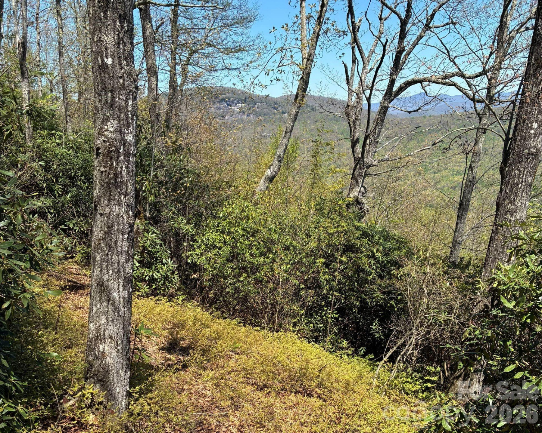 P 2 L020RV Toxaway Cliff - Photo 4