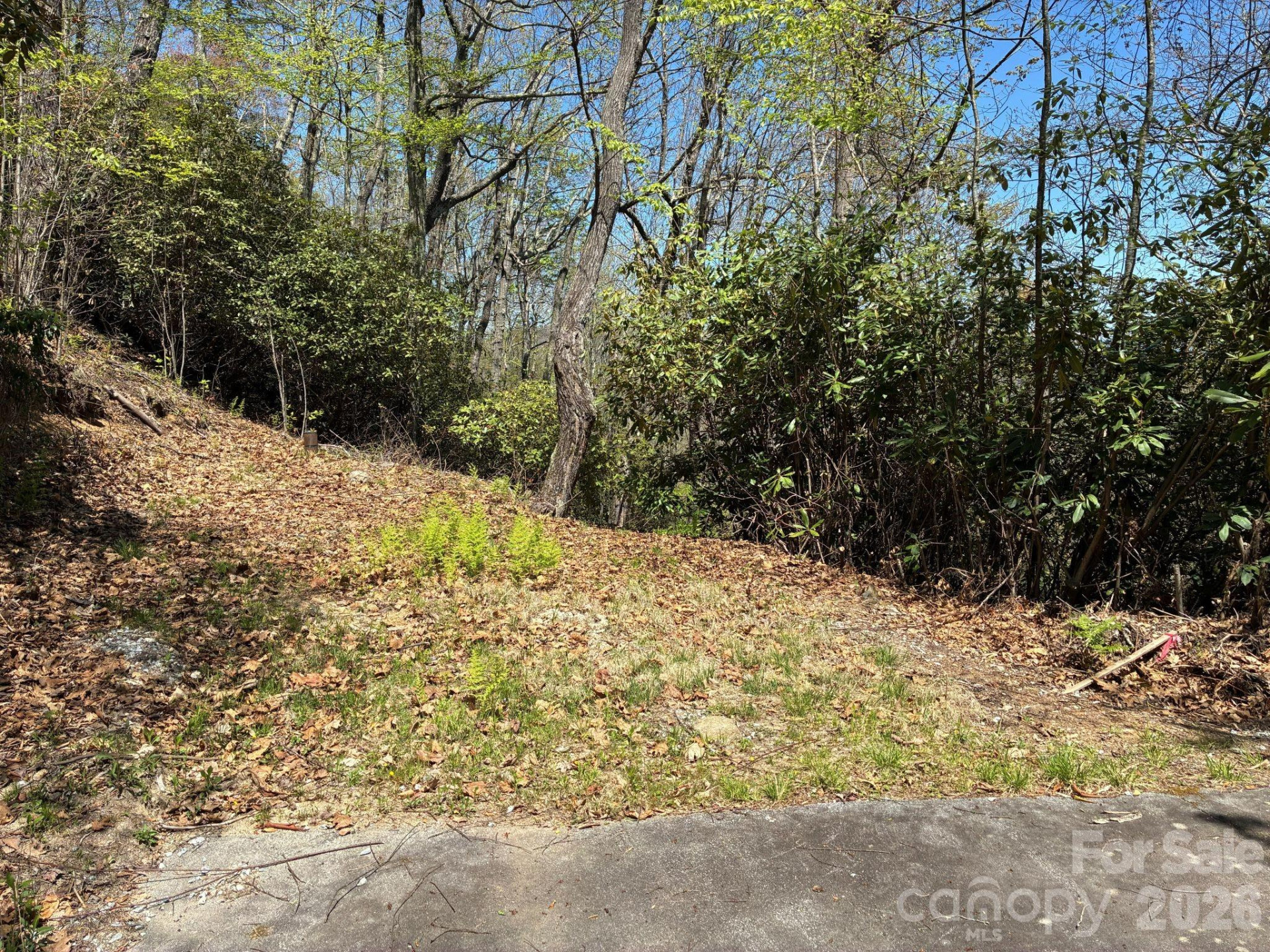 P 2 L020RV Toxaway Cliff - Photo 5