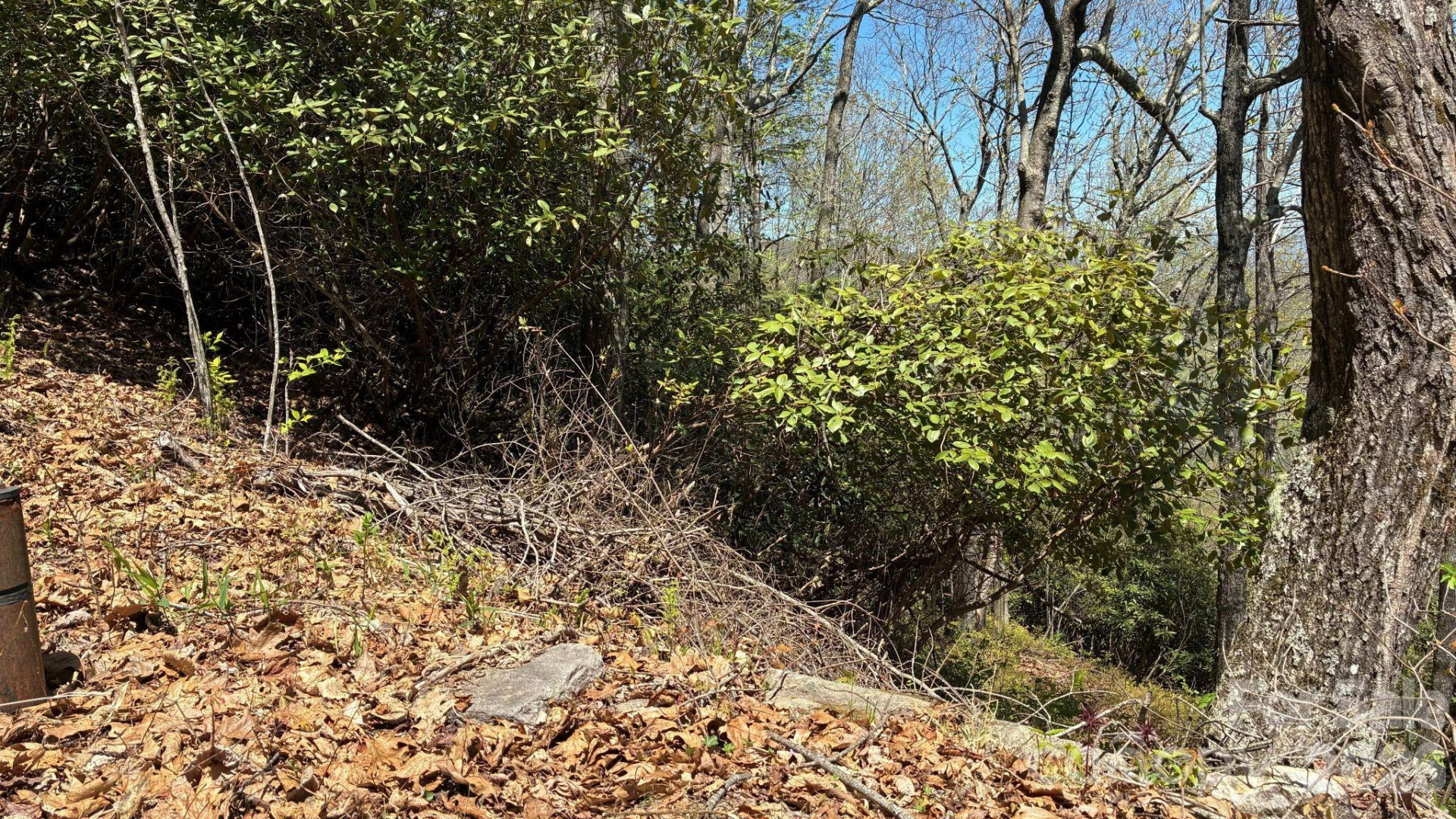 P 2 L020RV Toxaway Cliff - Photo 6