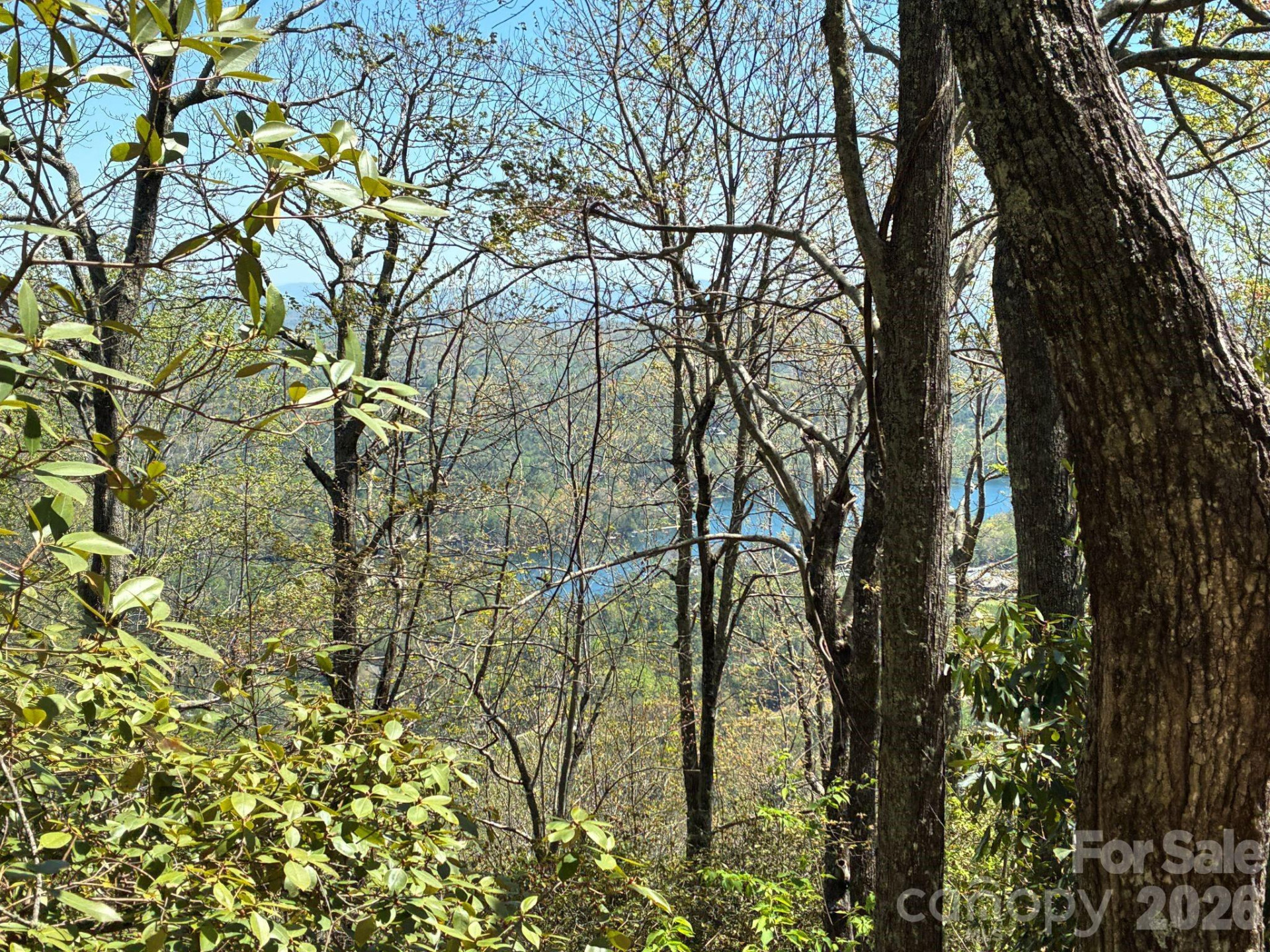 P 2 L020RV Toxaway Cliff - Photo 9