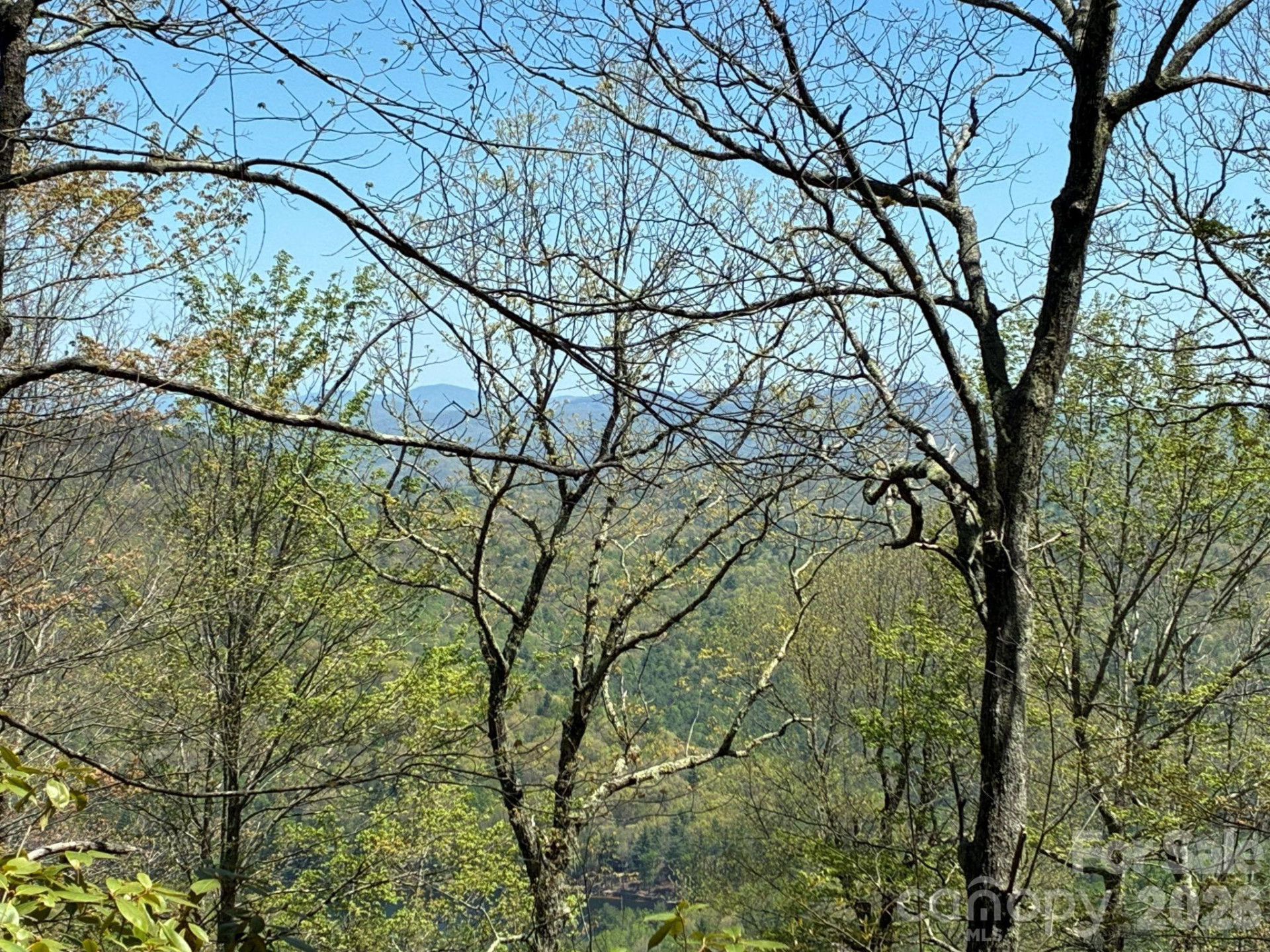 P 2 L020RV Toxaway Cliff - Photo 10