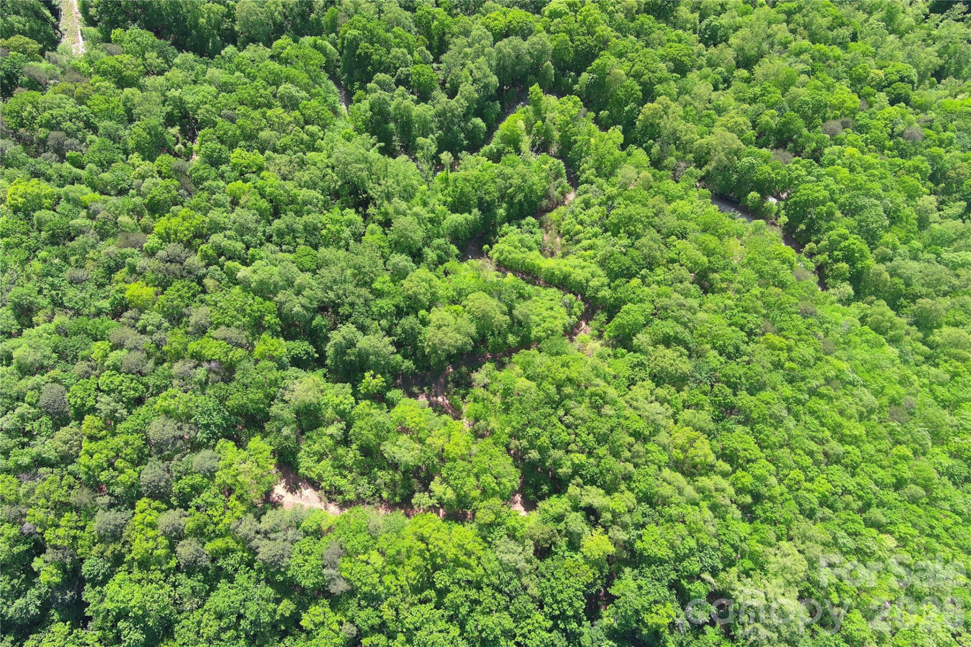 V/L Woodchuck Lane #117 - Photo 12