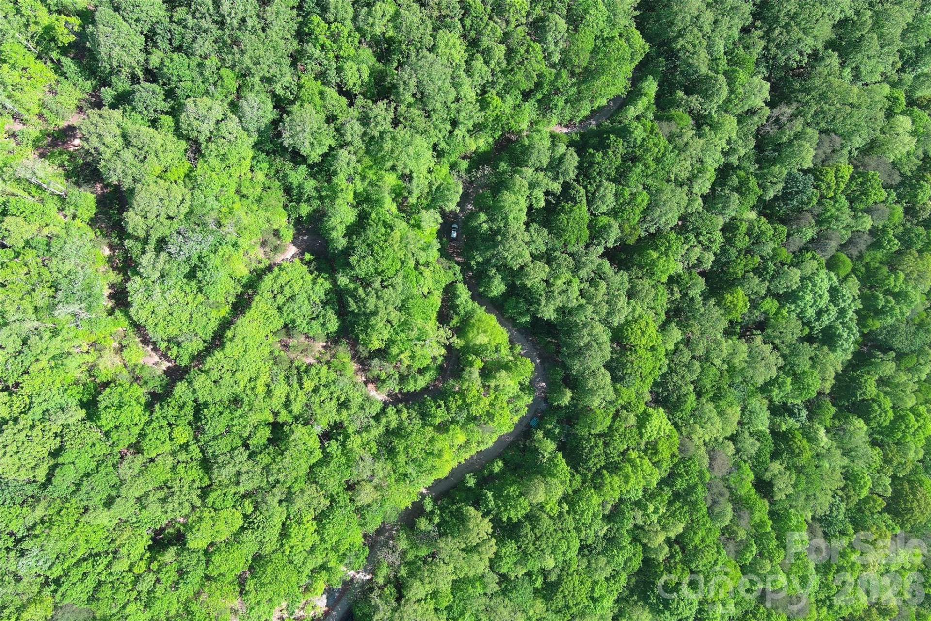 V/L Woodchuck Lane #117 - Photo 13