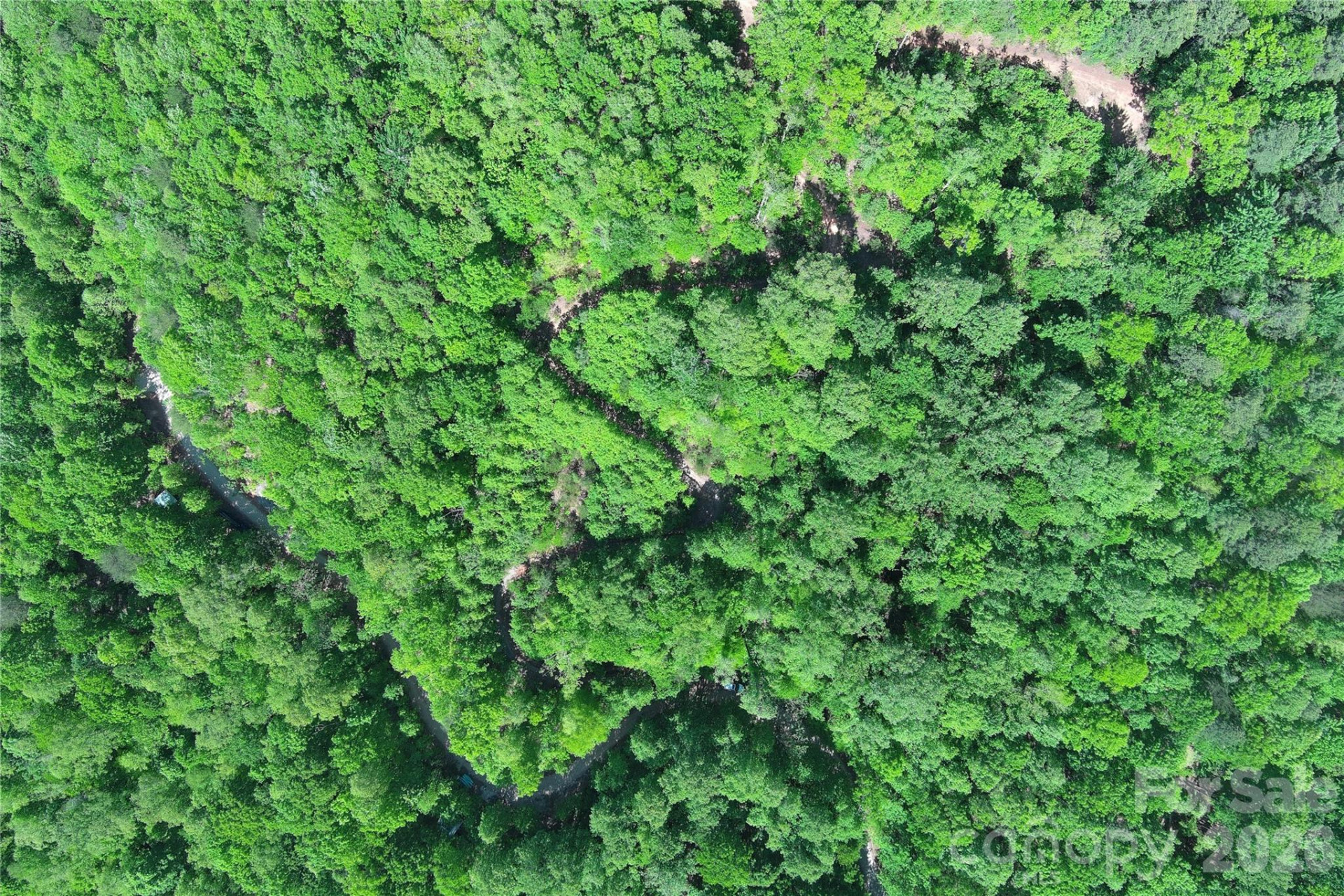 V/L Woodchuck Lane #117 - Photo 3