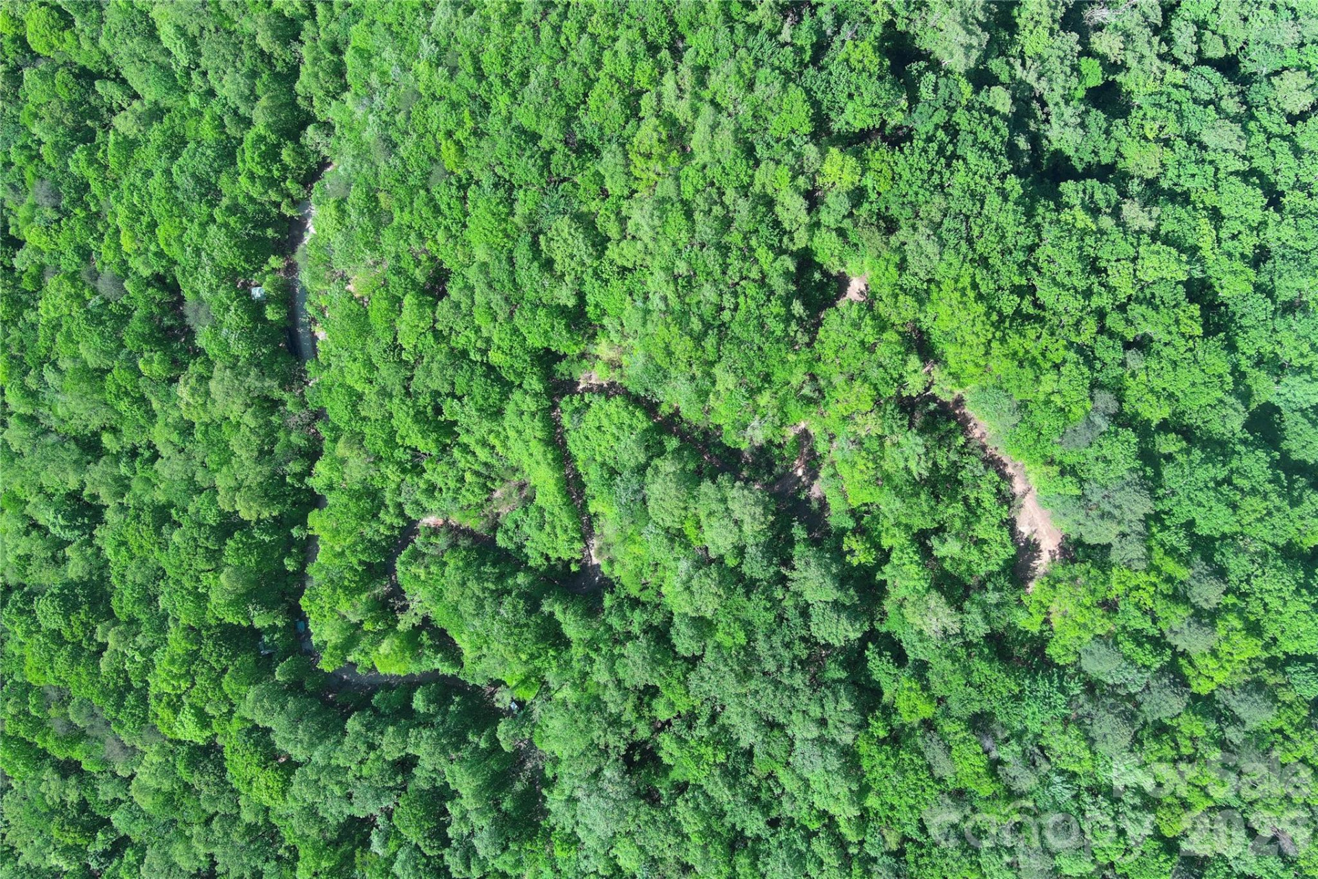 V/L Woodchuck Lane #117 - Photo 4