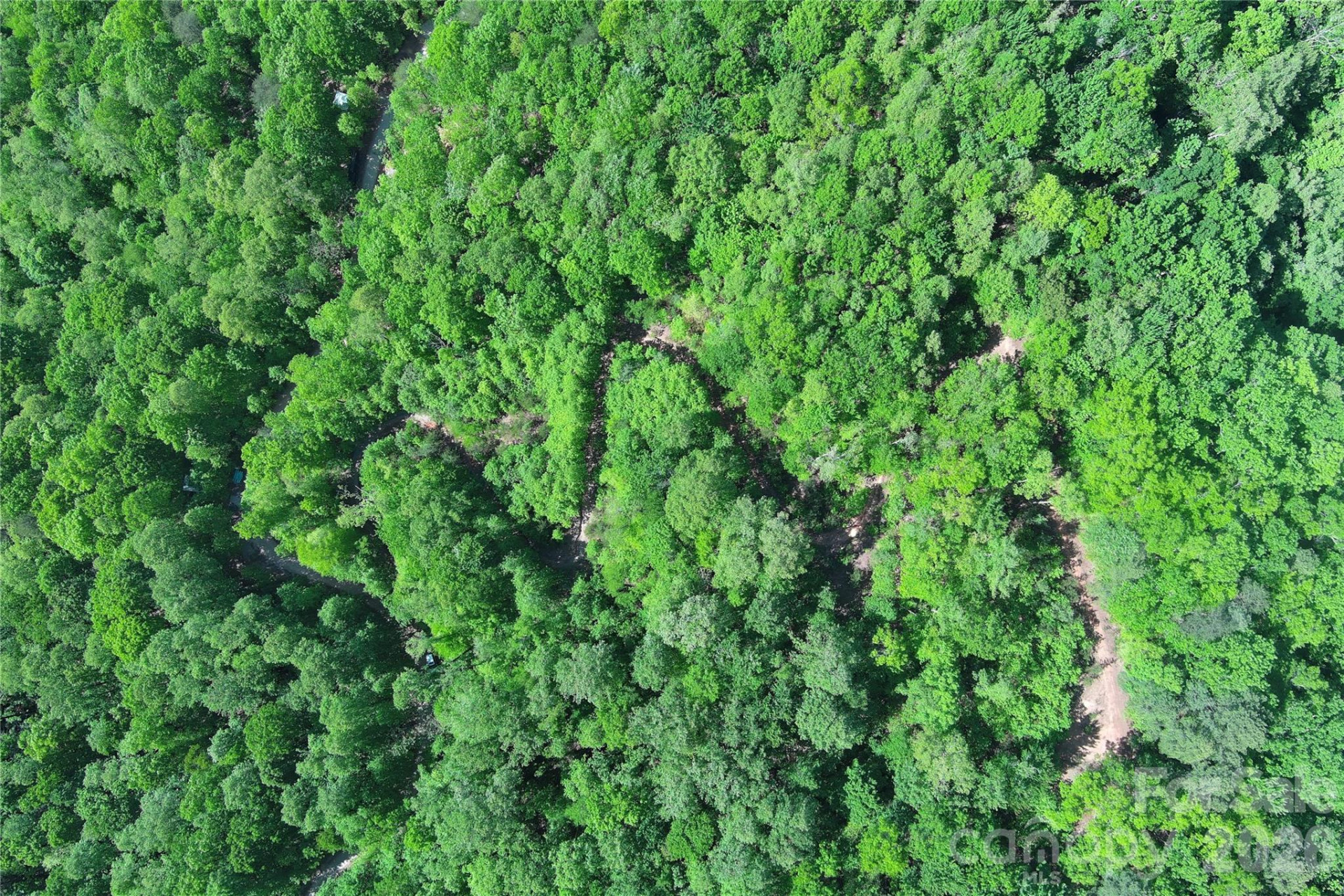 V/L Woodchuck Lane #117 - Photo 5