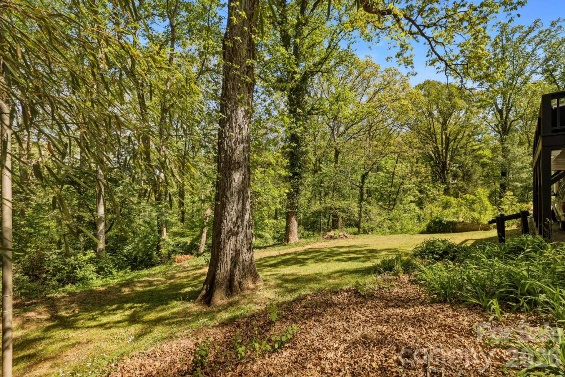 41 Chiles Avenue - Photo 24