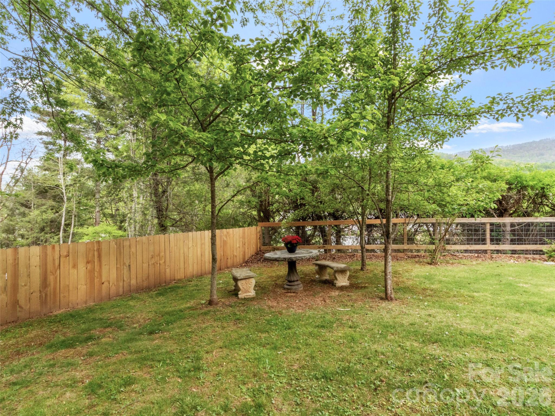 309 Presnell Street - Photo 4