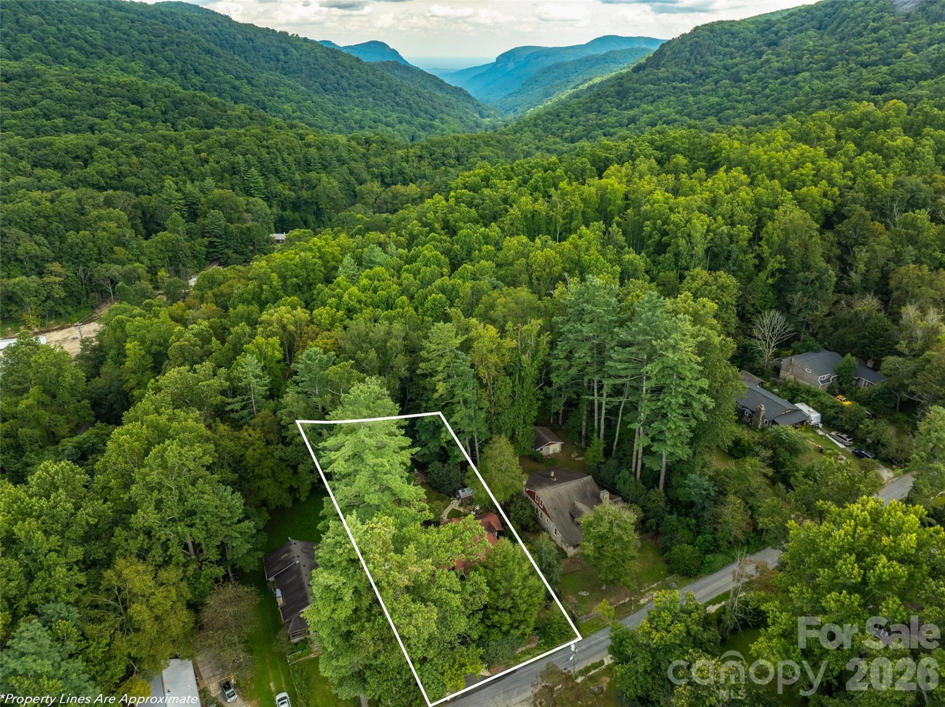 85 Chestnut Hill Road - Photo 48