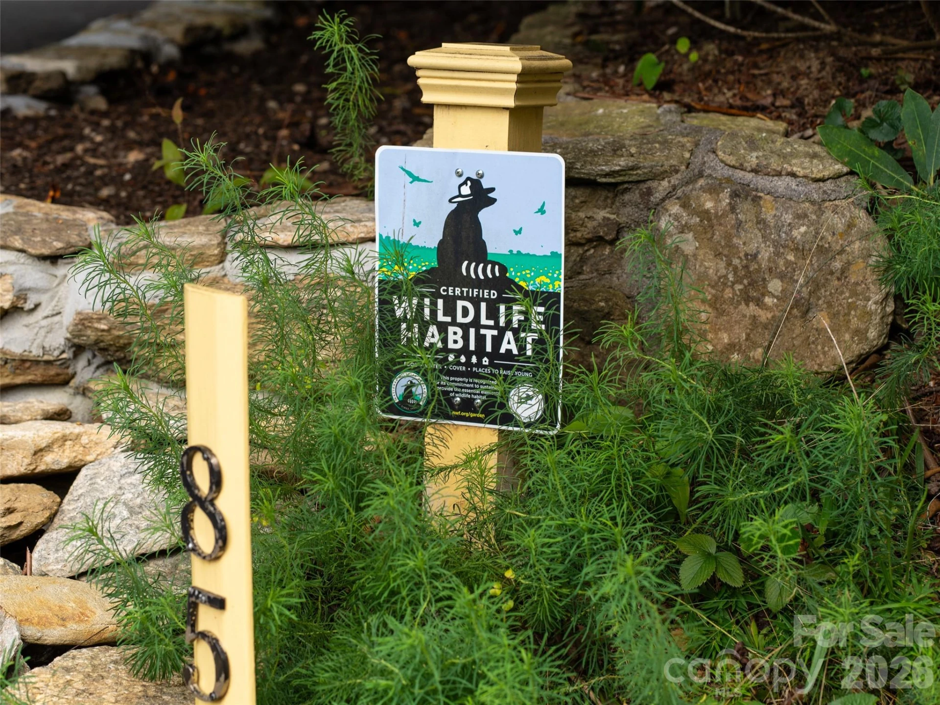 85 Chestnut Hill Road - Photo 6