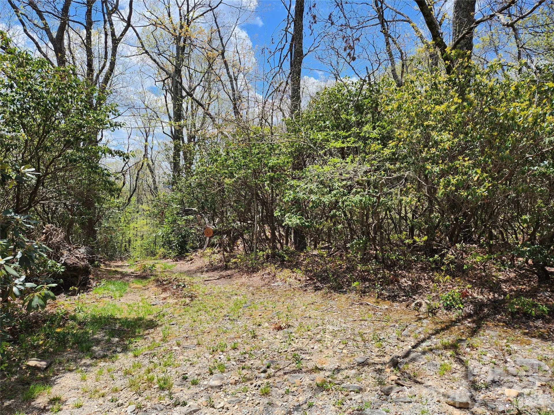 929 Pine Ridge Road - Photo 4