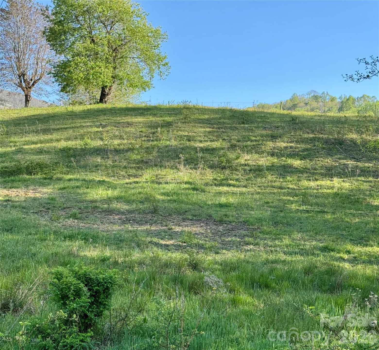 0 Odoms Chapel Road - Photo 3