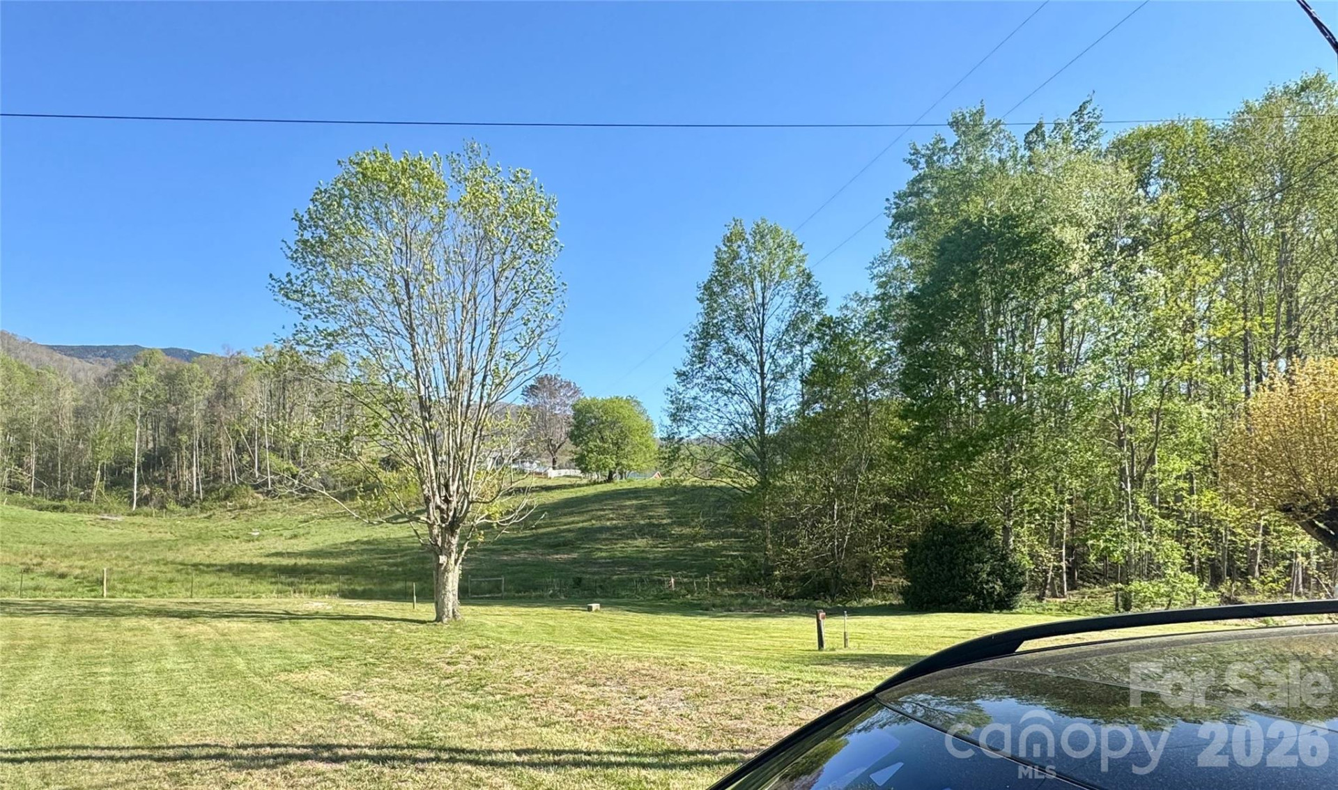 0 Odoms Chapel Road - Photo 4