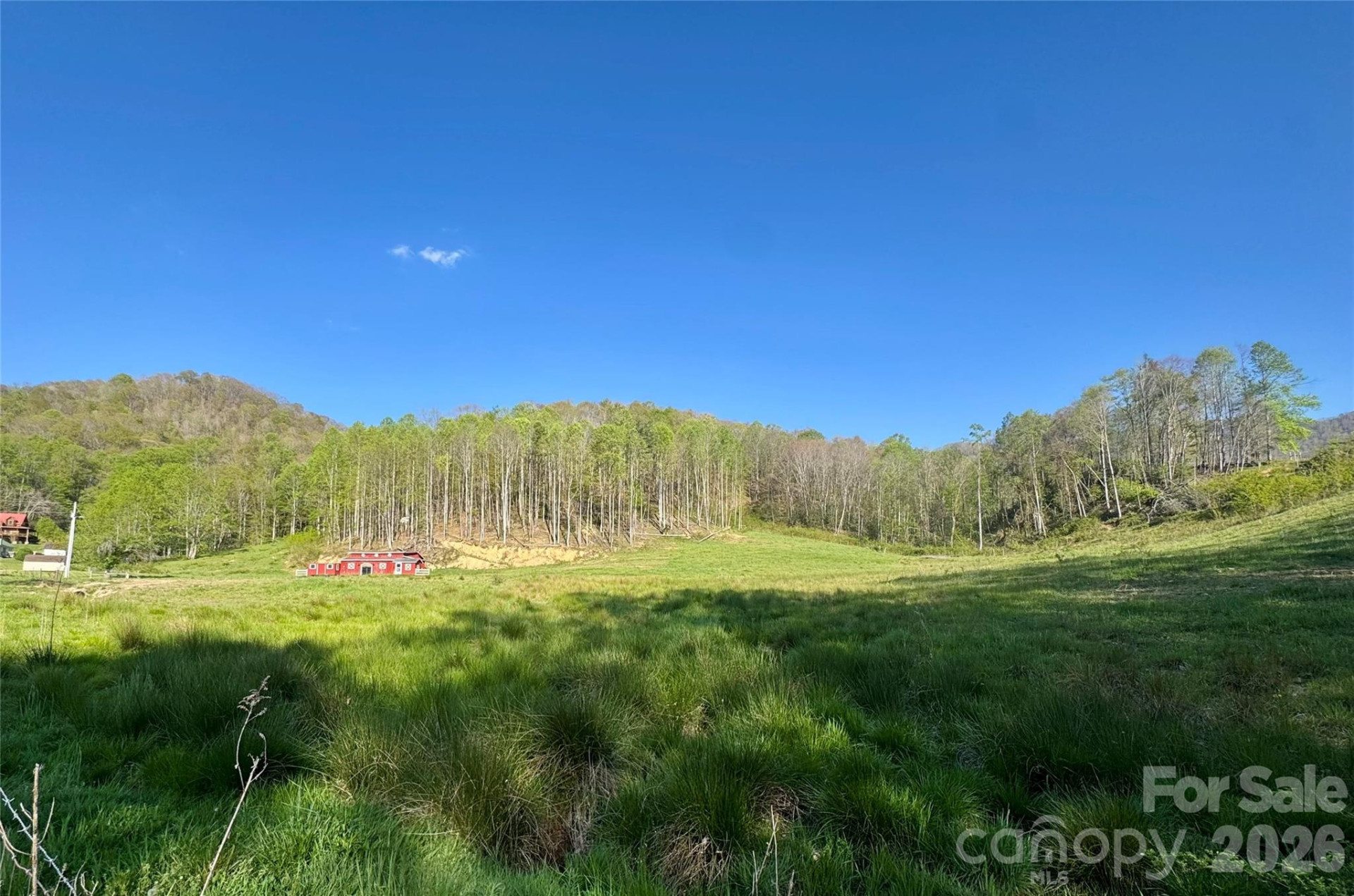 0 Odoms Chapel Road - Photo 5