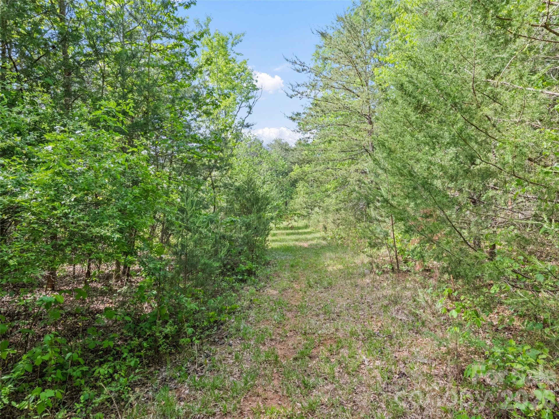 311 Soco Gap Road - Photo 11