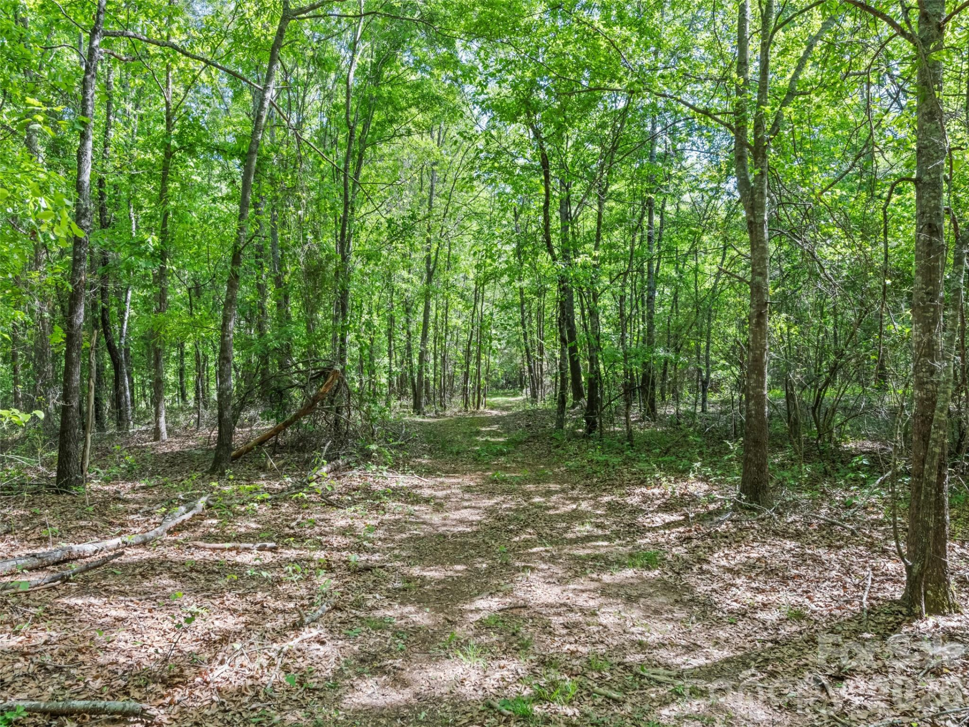 311 Soco Gap Road - Photo 12