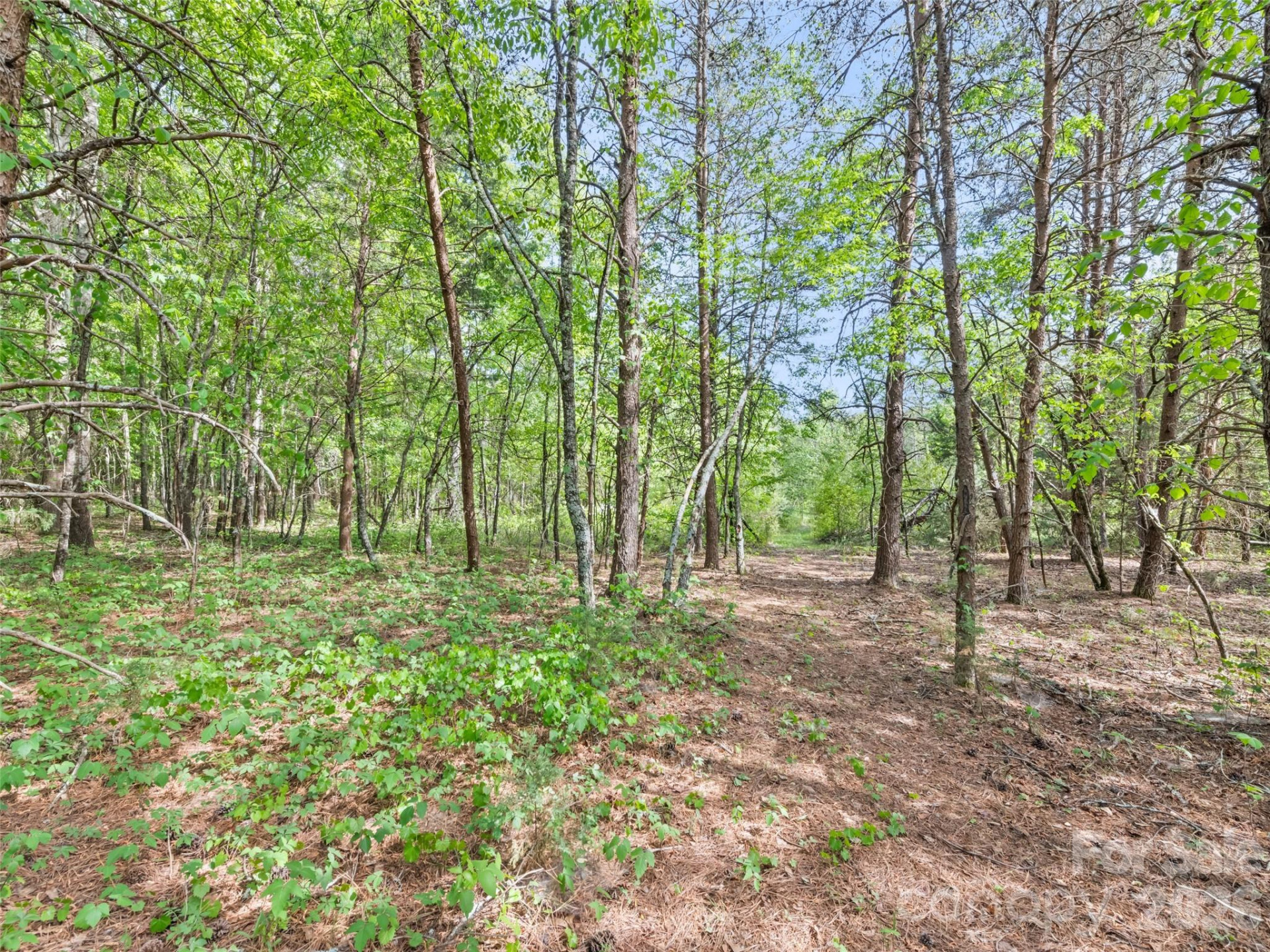 311 Soco Gap Road - Photo 13