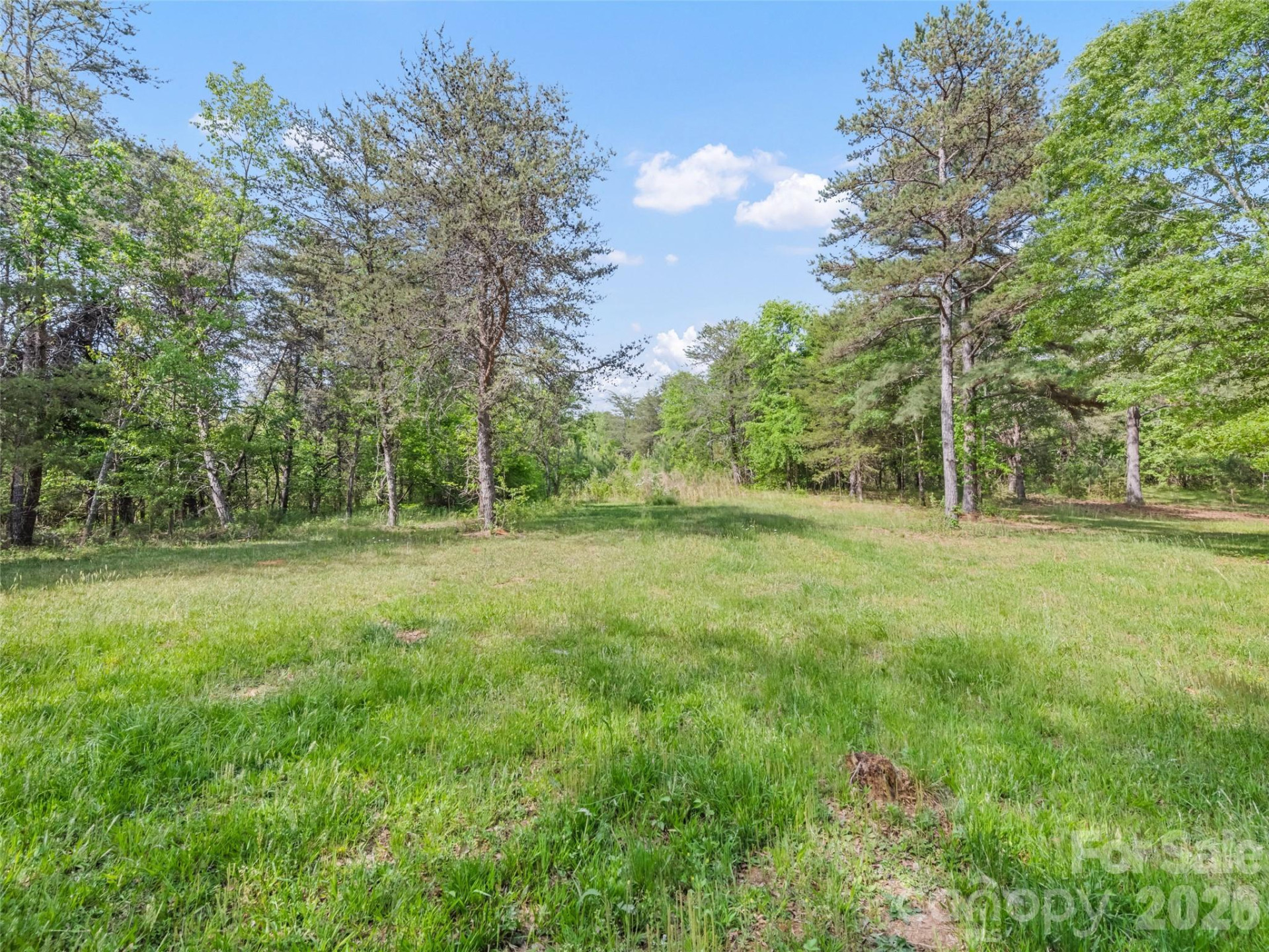 311 Soco Gap Road - Photo 3