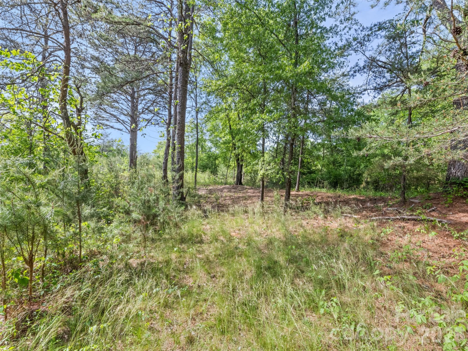 311 Soco Gap Road - Photo 10