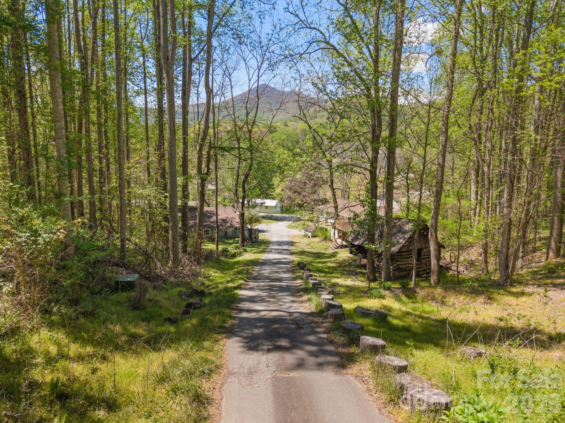 290 Hookers Gap Road - Photo 9