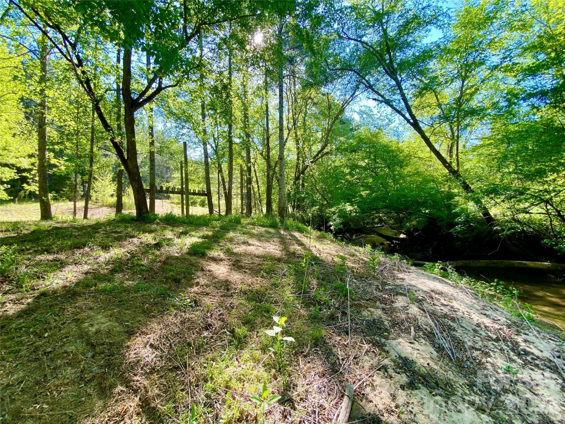 0 Walking Horse Trail - Photo 2