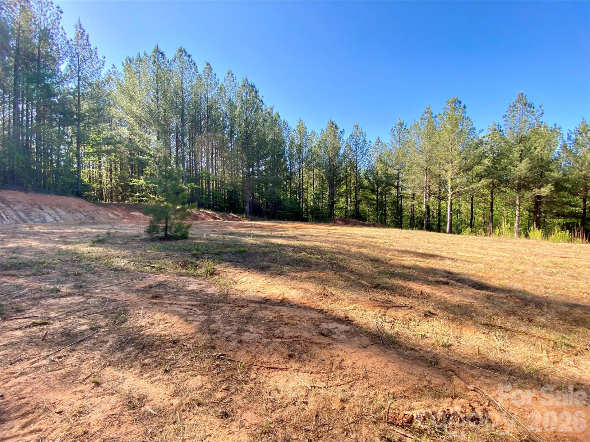 0 Walking Horse Trail - Photo 11