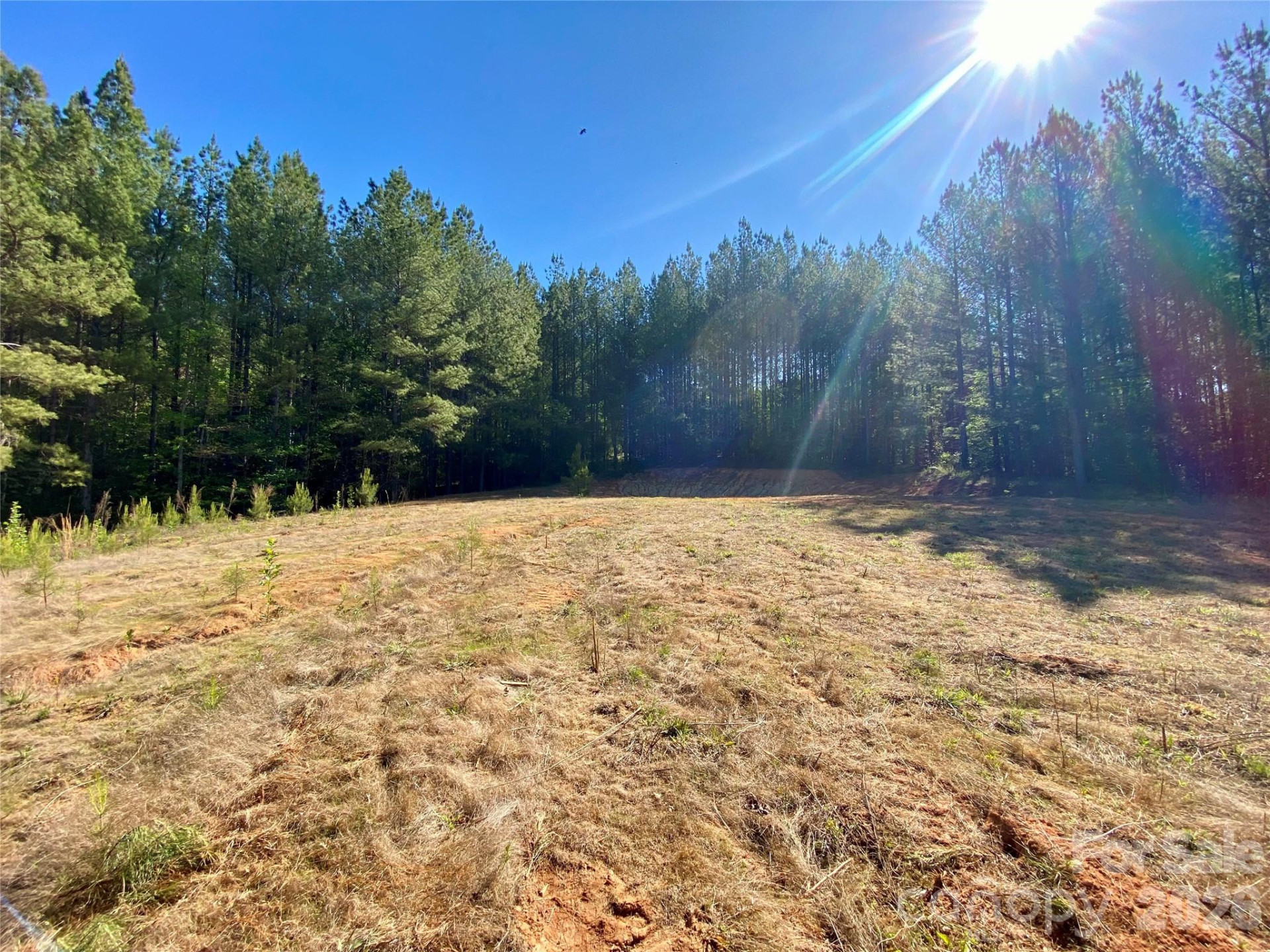 0 Walking Horse Trail - Photo 12