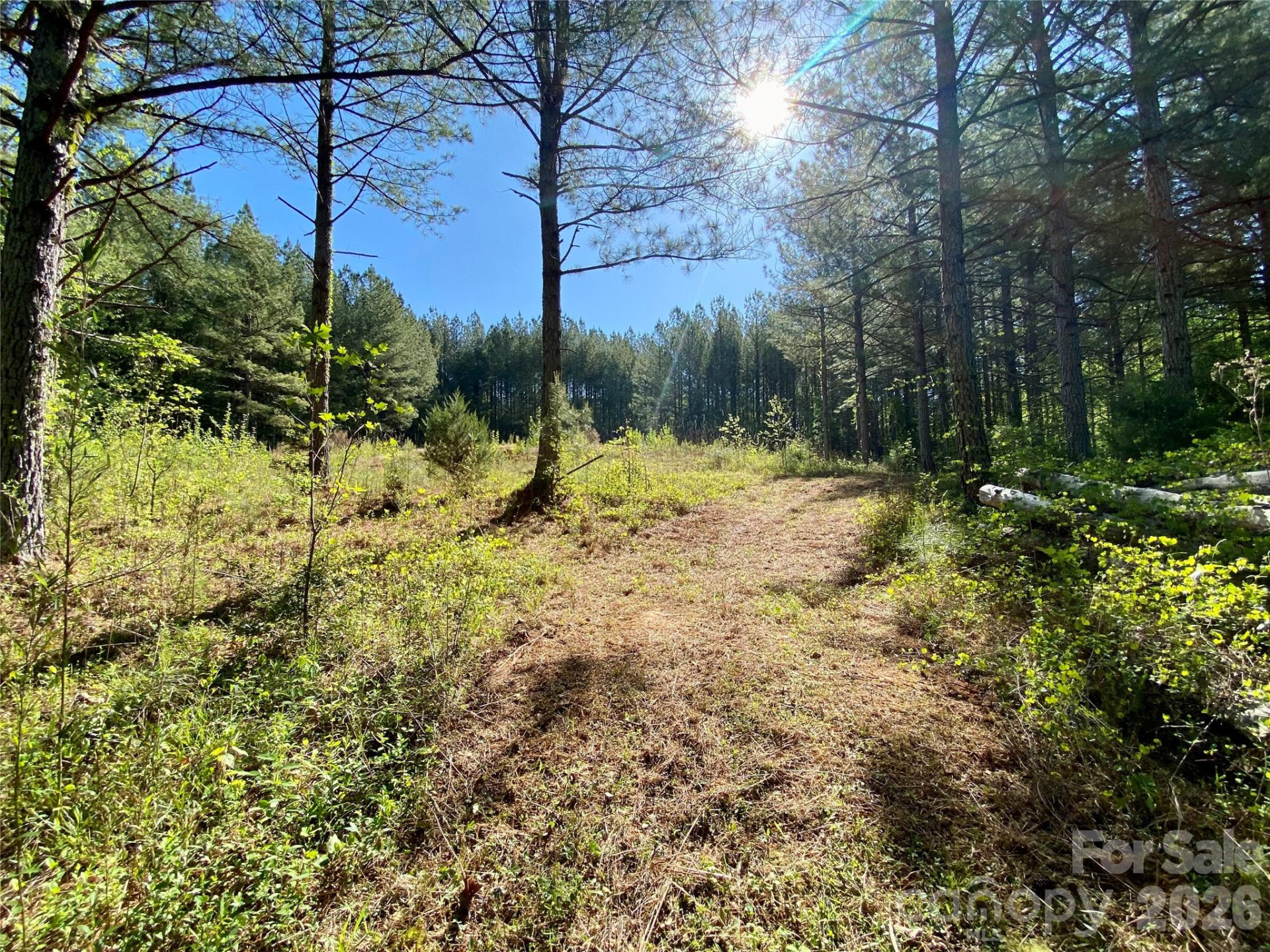 0 Walking Horse Trail - Photo 13