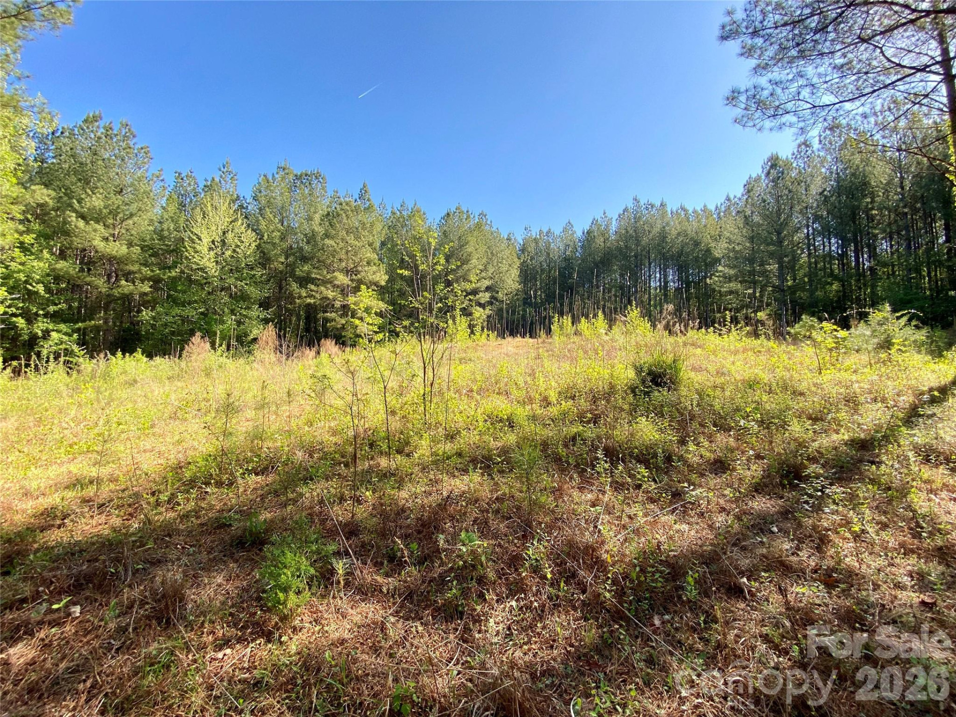 0 Walking Horse Trail - Photo 14