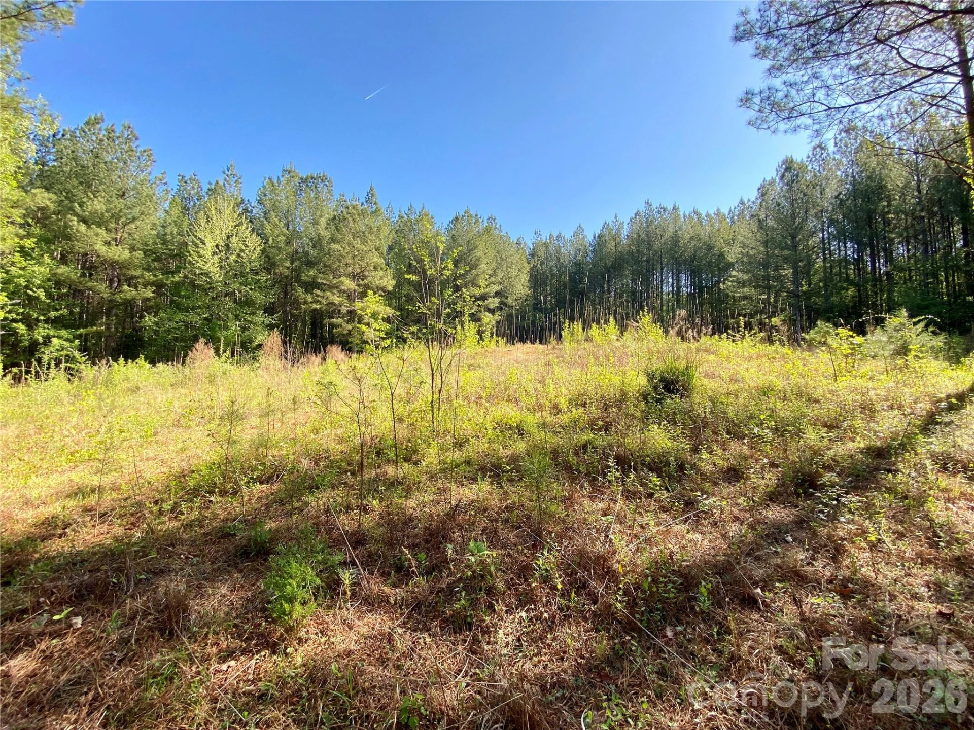 0 Walking Horse Trail - Photo 14