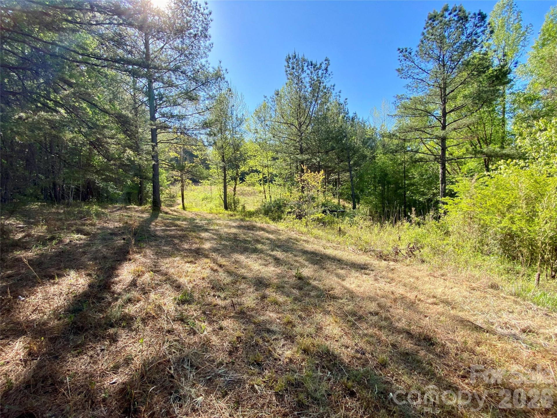 0 Walking Horse Trail - Photo 15