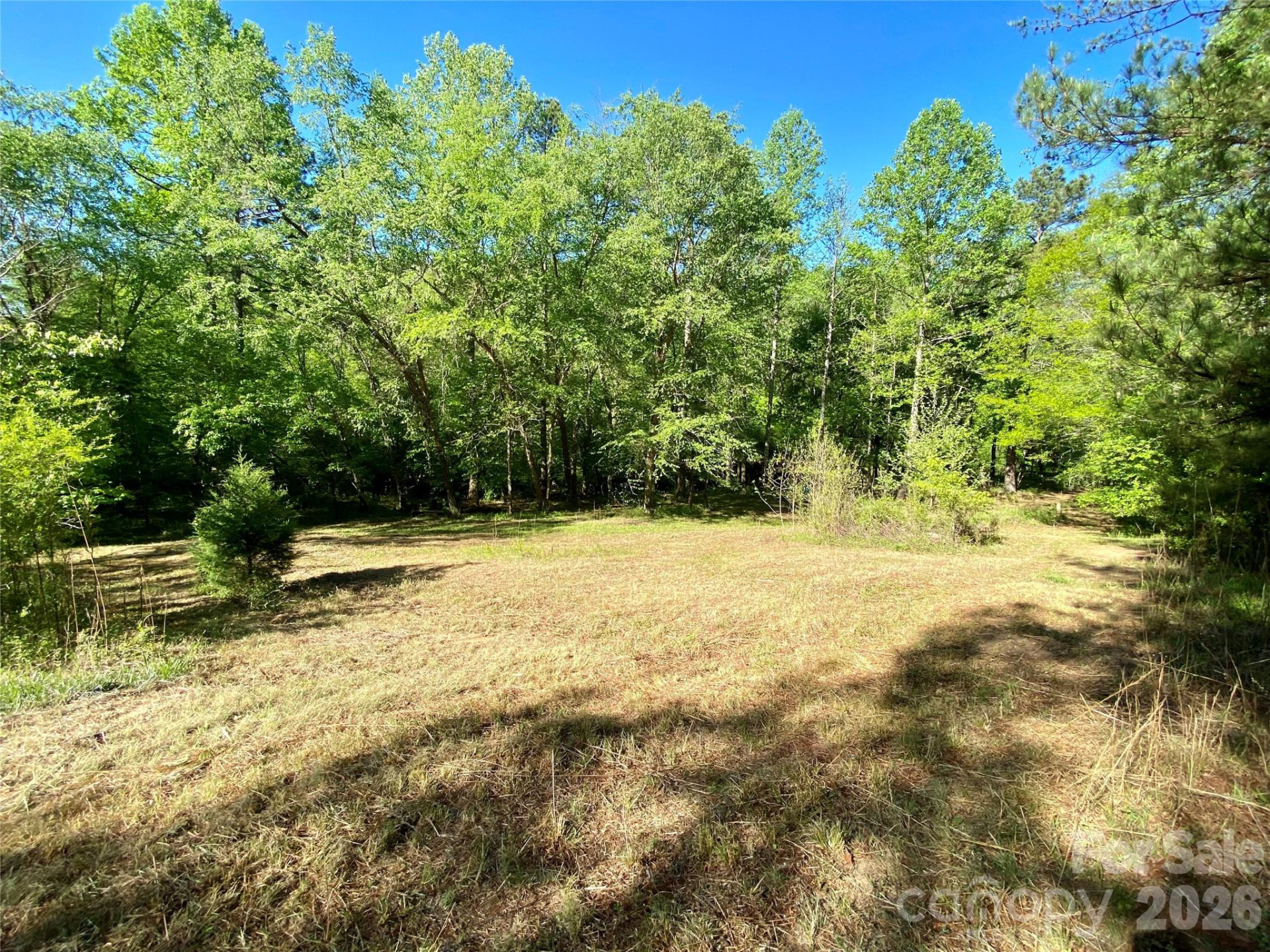 0 Walking Horse Trail - Photo 16