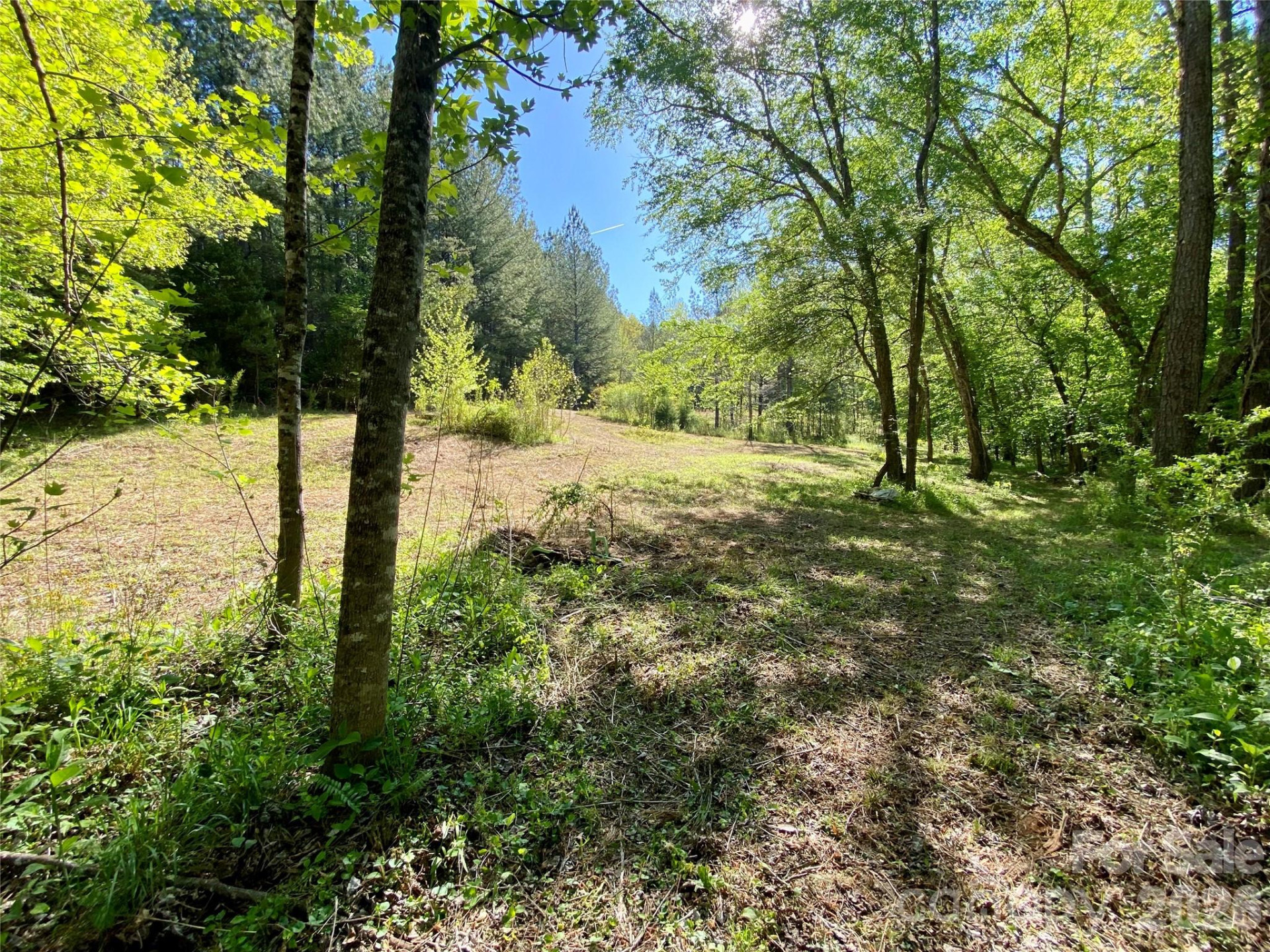 0 Walking Horse Trail - Photo 17