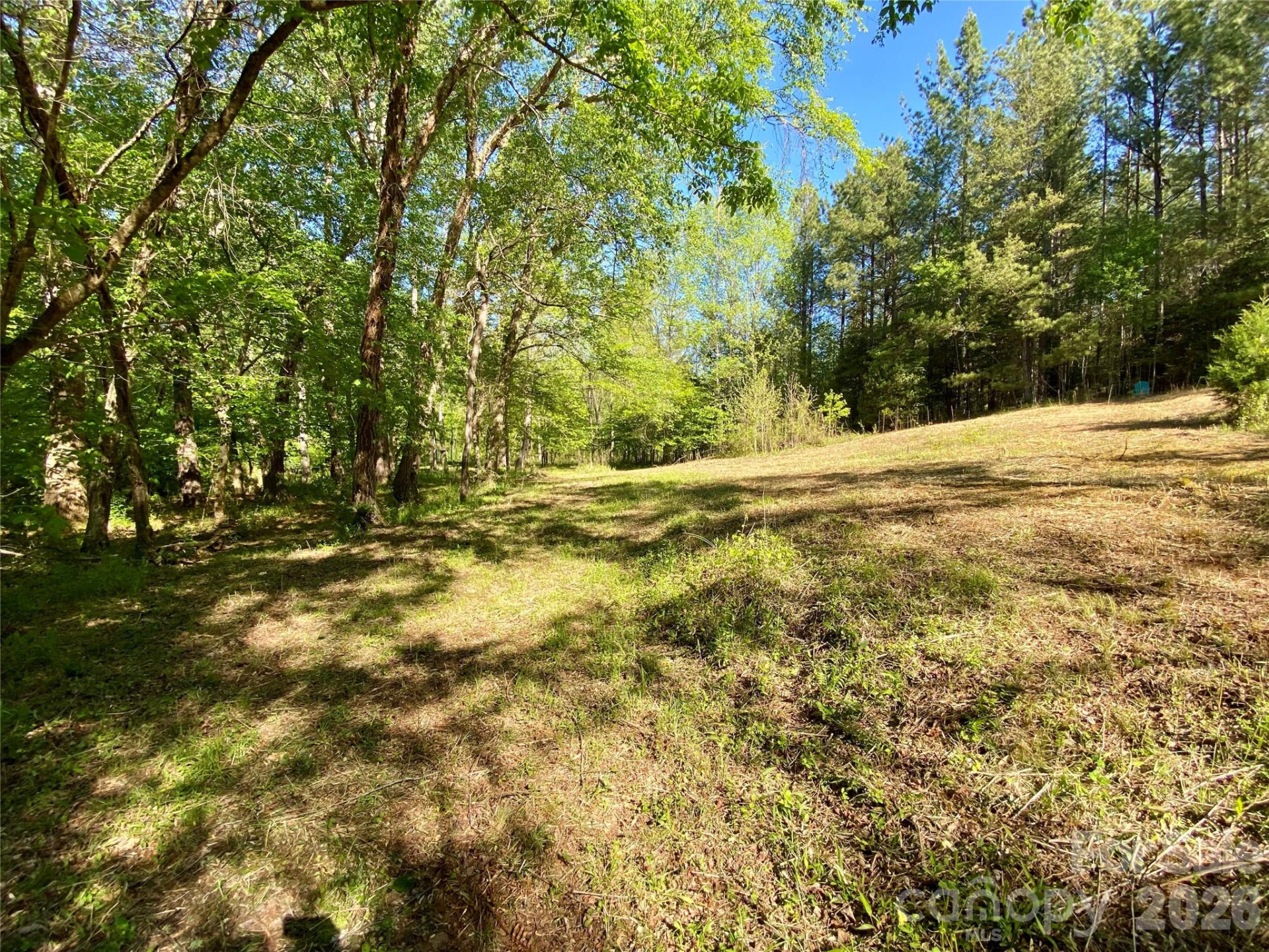 0 Walking Horse Trail - Photo 18